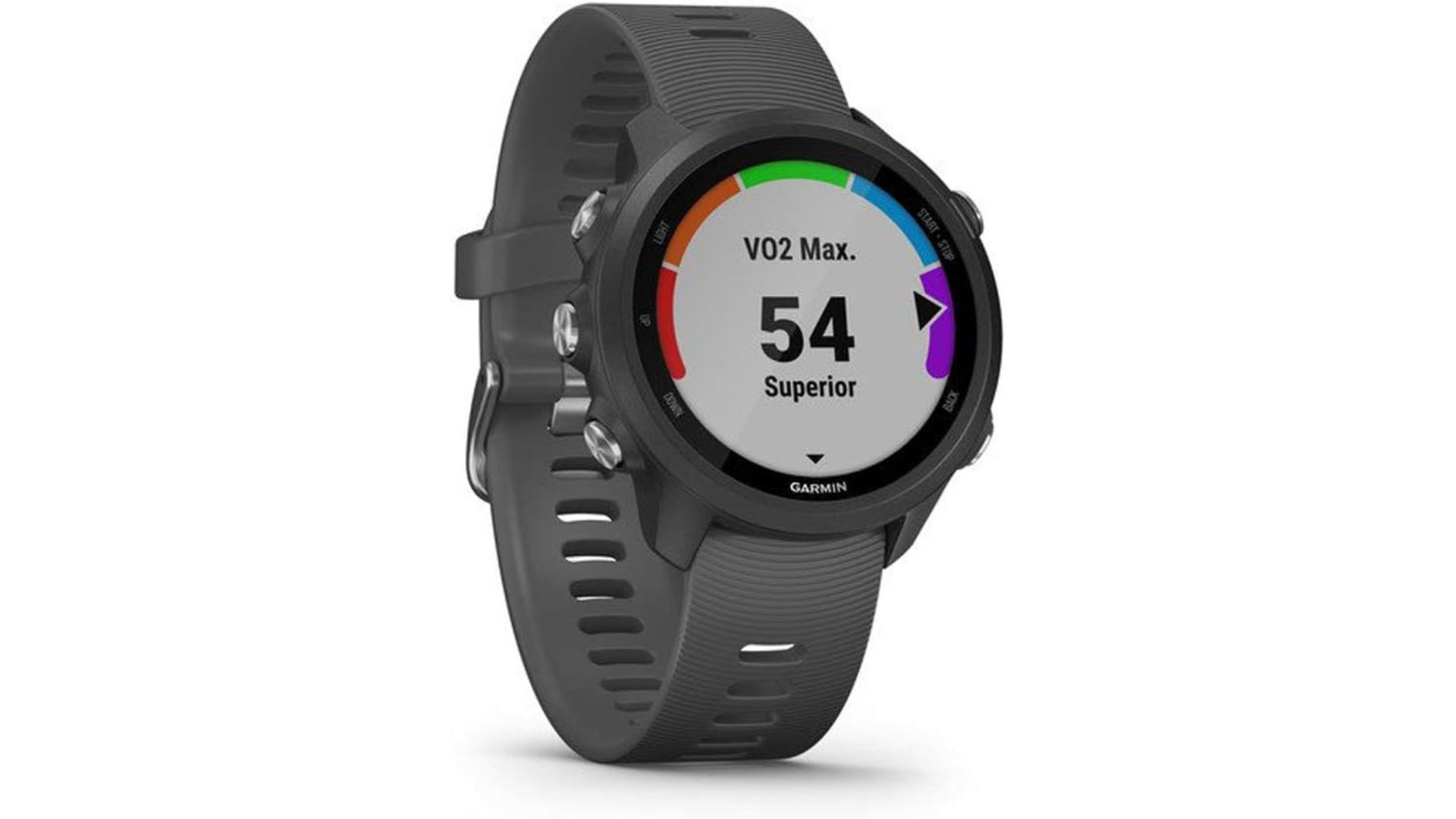 the smartwatch reading VO2 max