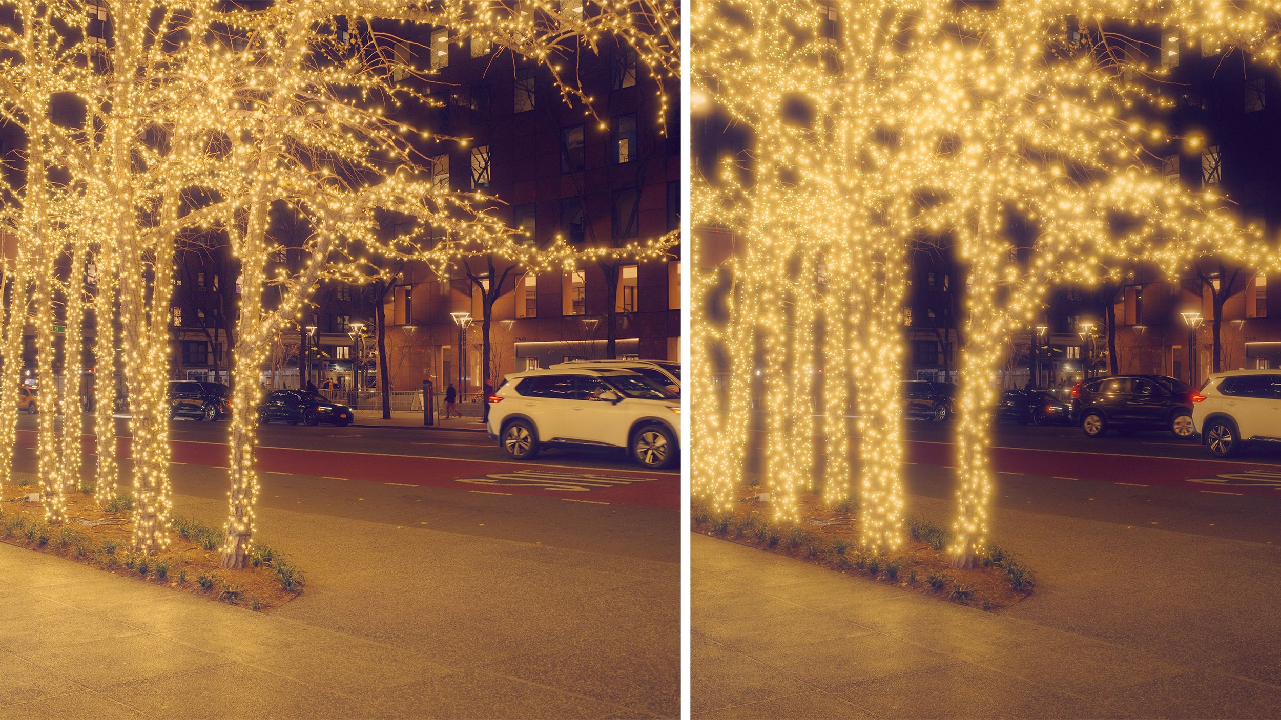 Two images of Christmas lights on trees show the soft highlights from the Ricoh GR III HDF camera. 