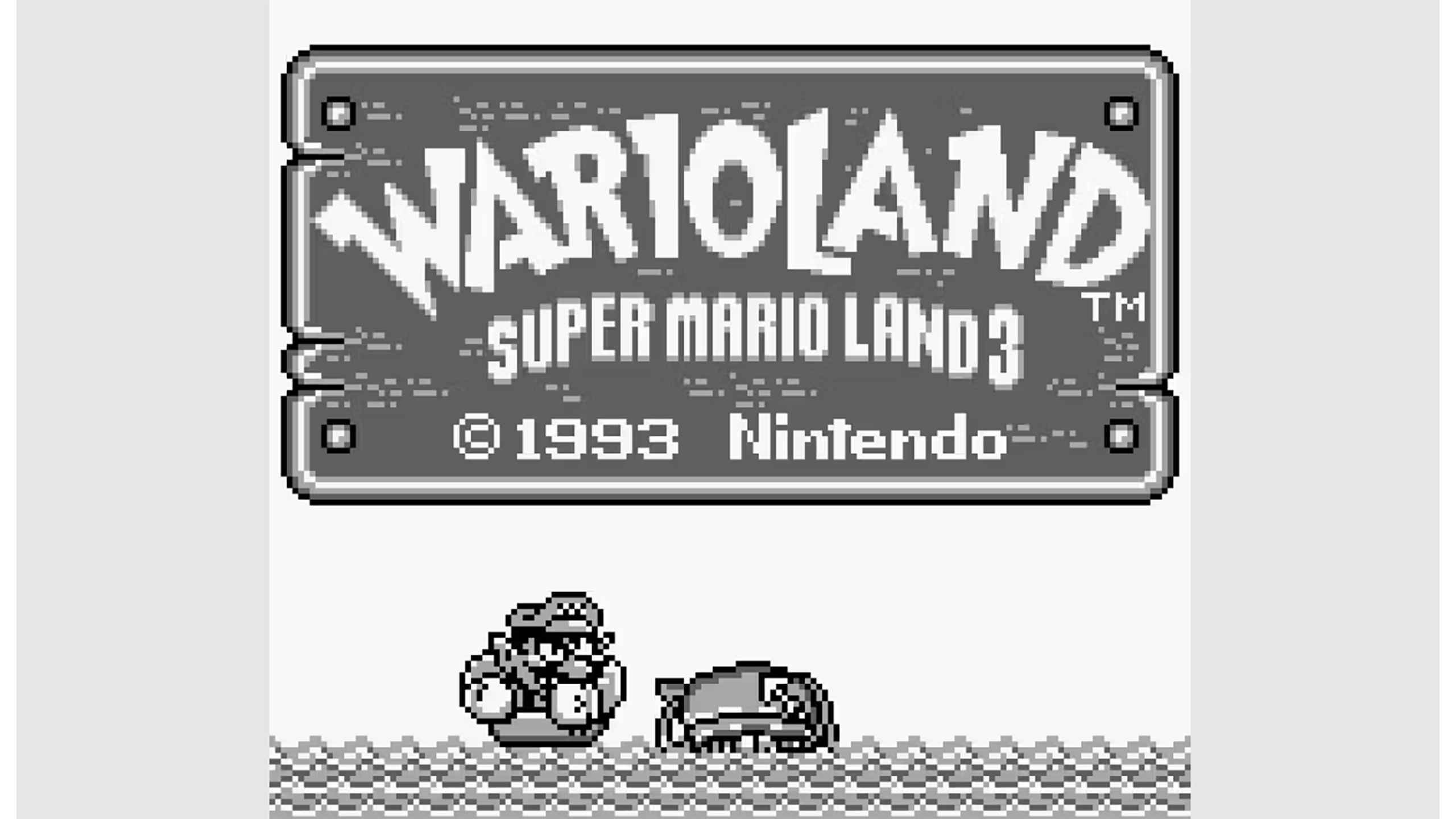 Wario Land