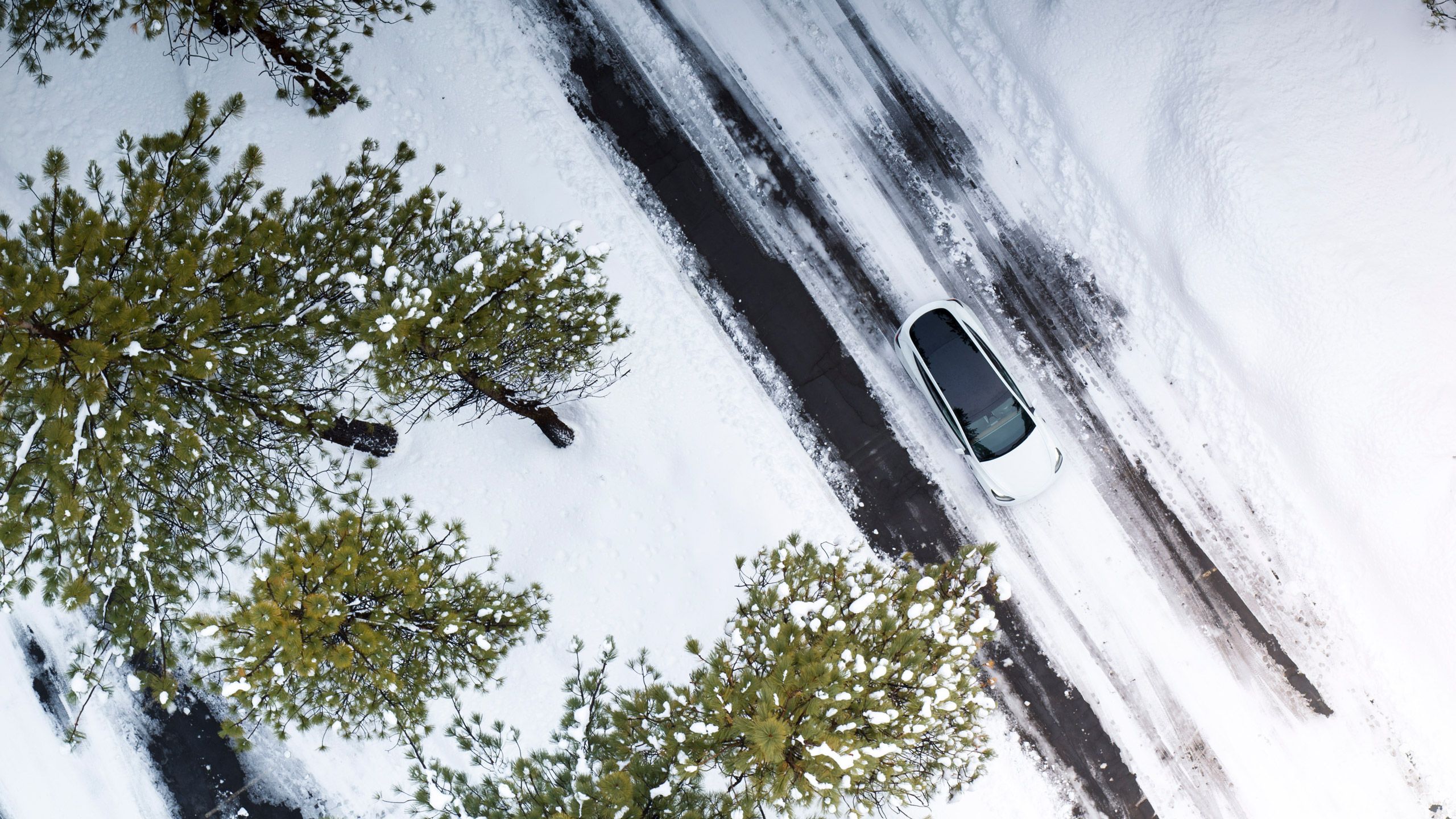 A white Tesla Model Y travels on a snowy road with pine trees off to the side