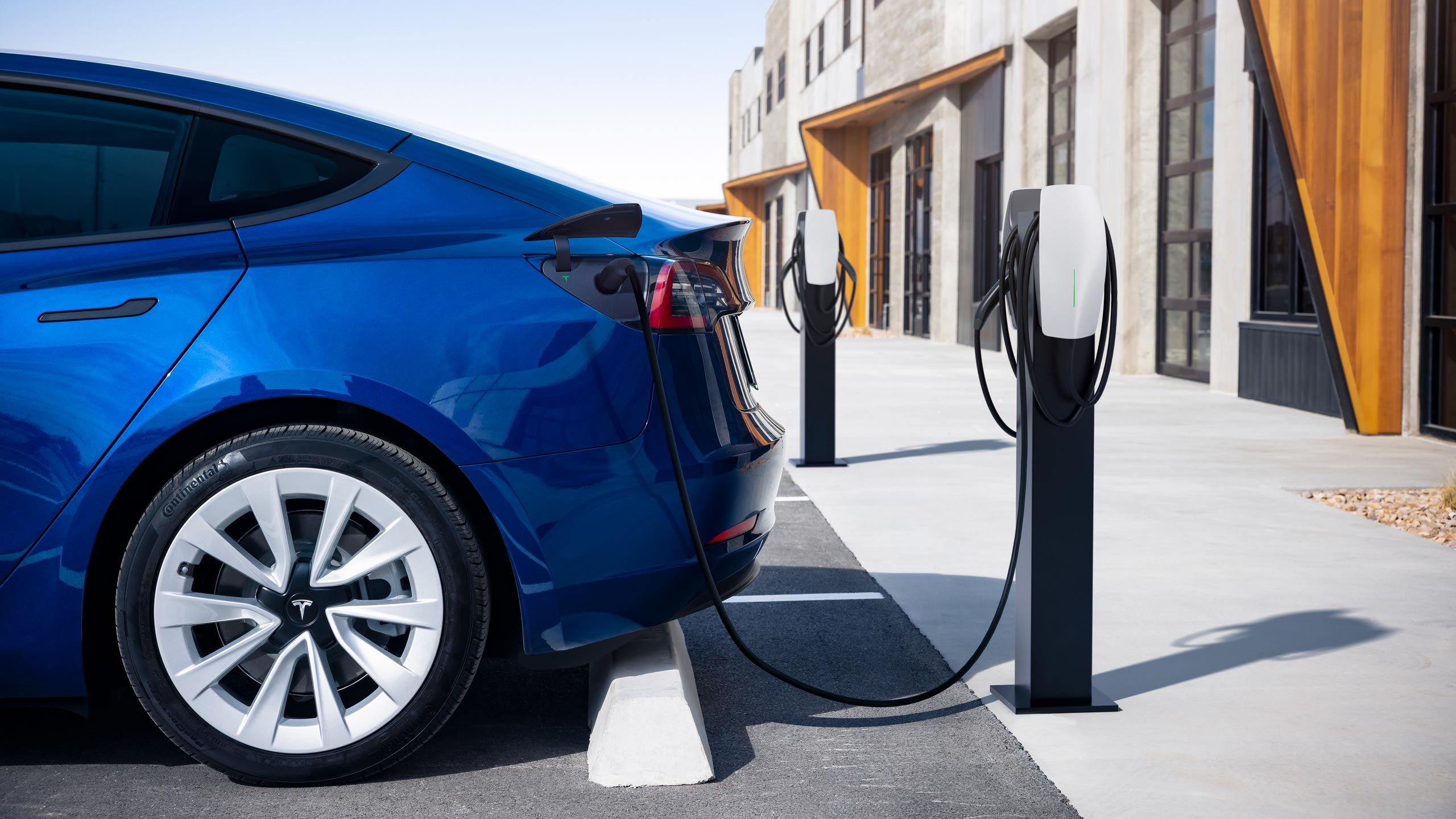 A blue Model 3 charges by the curb