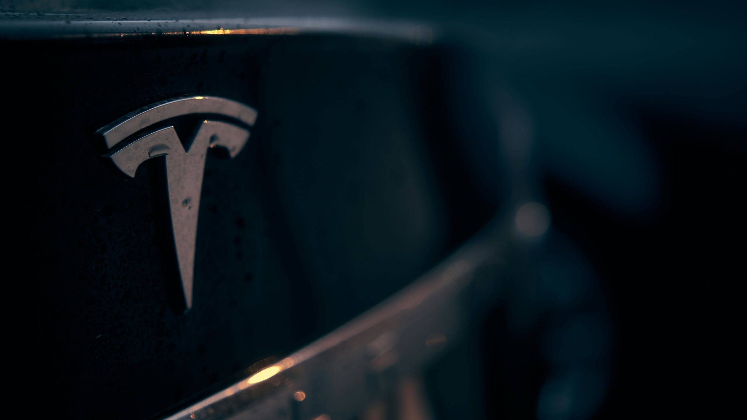 A silver Tesla logo on a dark background. 