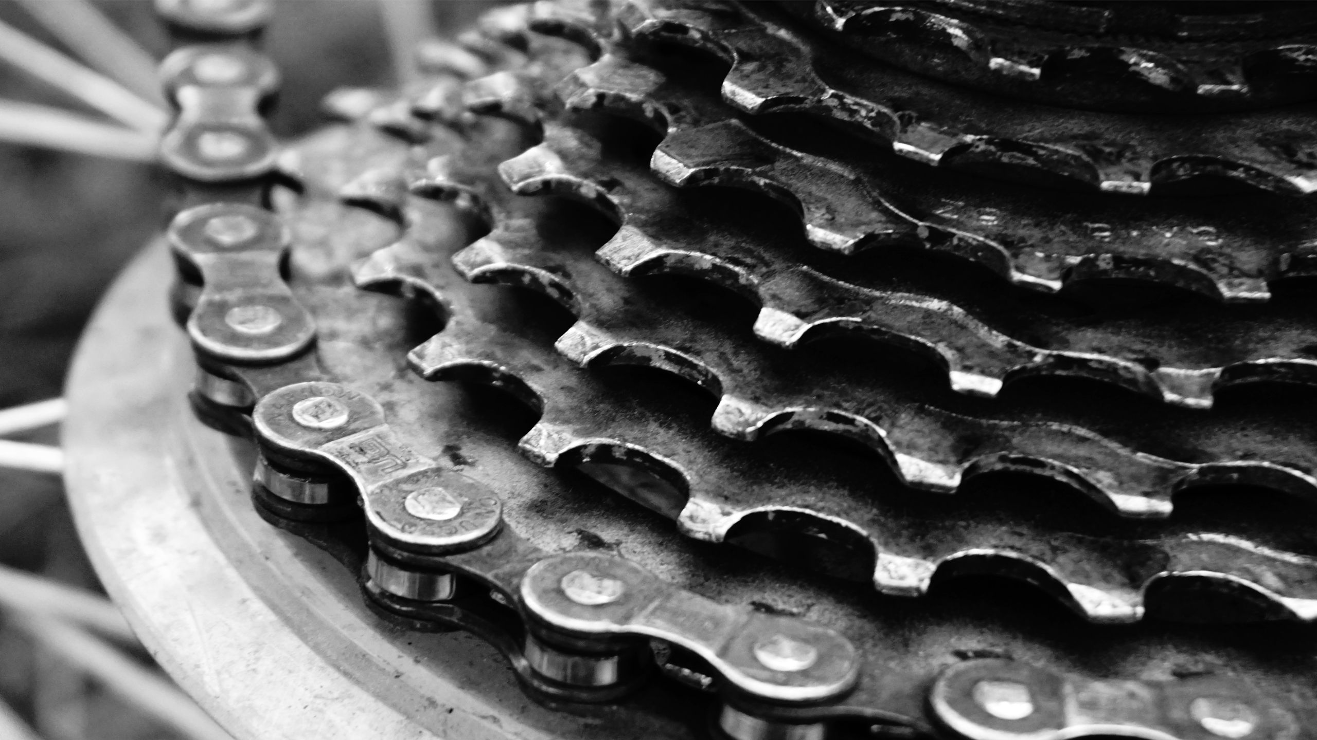 Bike gears and chains.