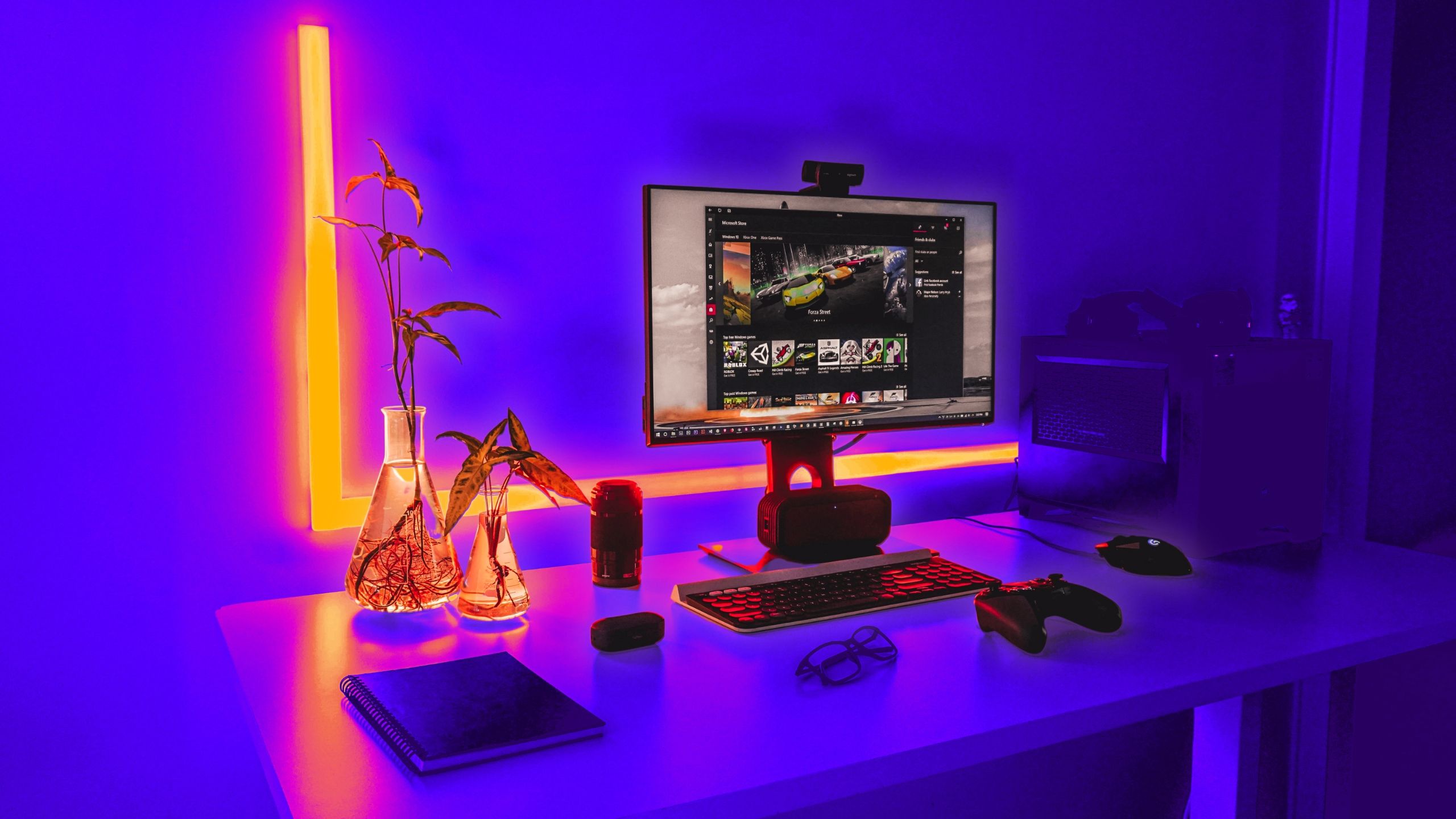 A gaming PC on a desk with plants 