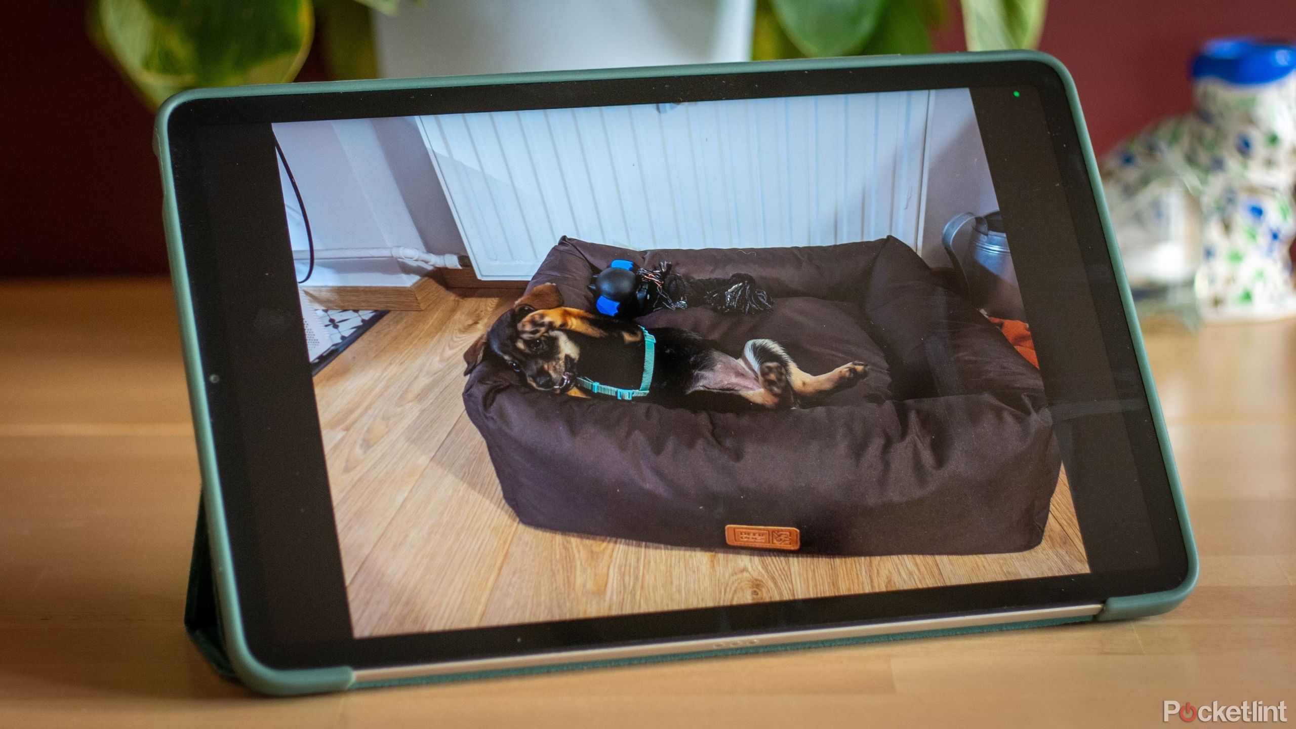 A dog laying in a dog bed on a tablet.