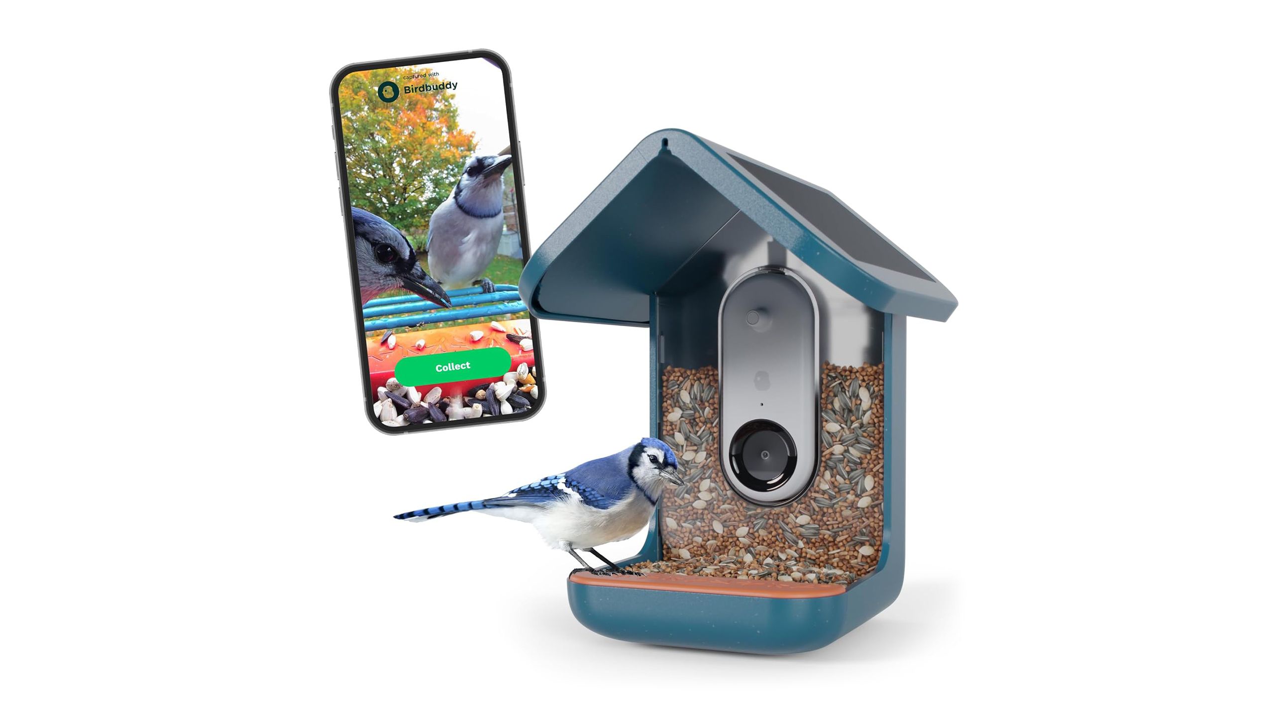 The Bird Buddy bird feeder and a phone against a white background.