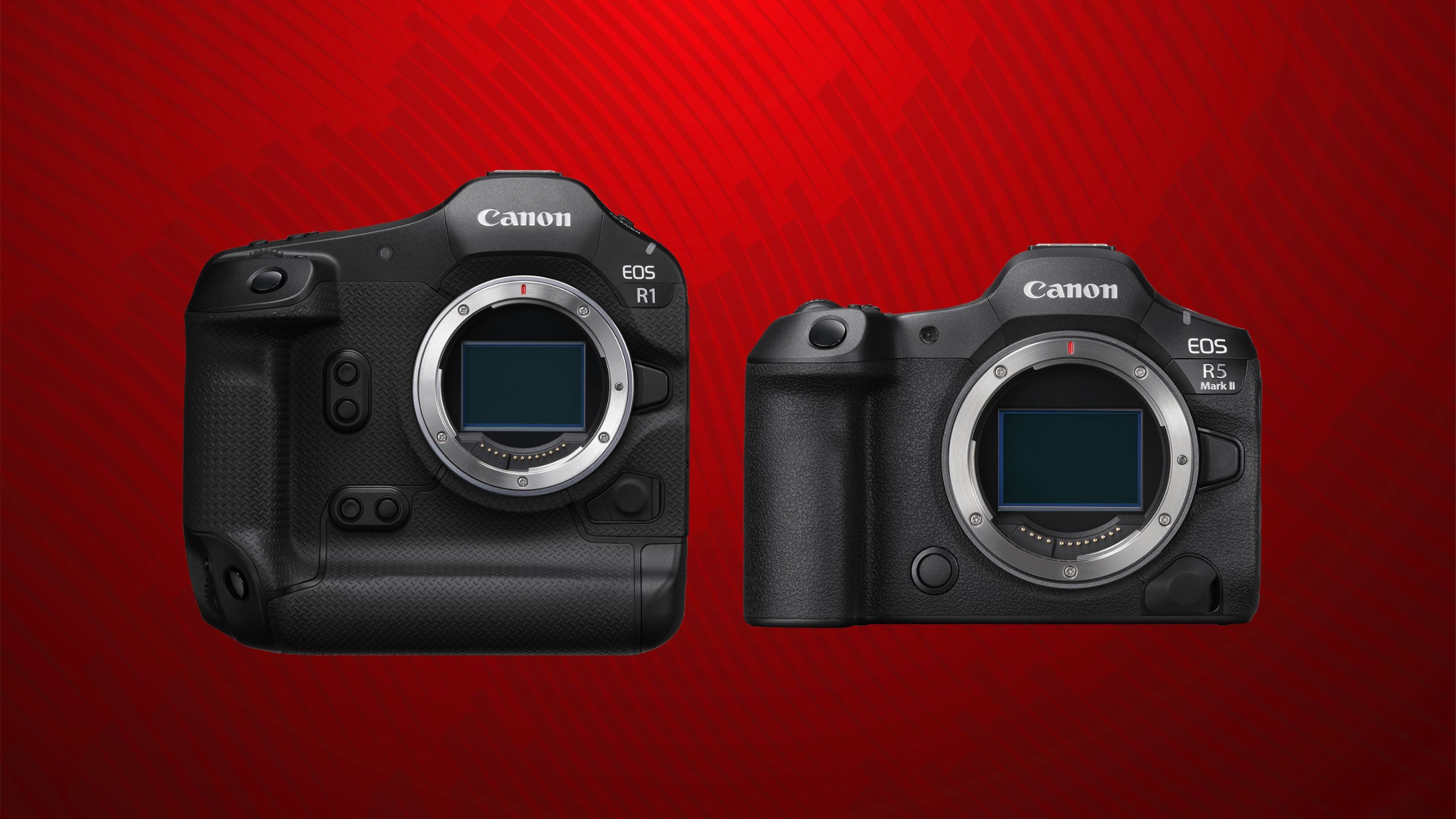 The Canon EOS R1 and EOS R5 Mark II against a red background. 