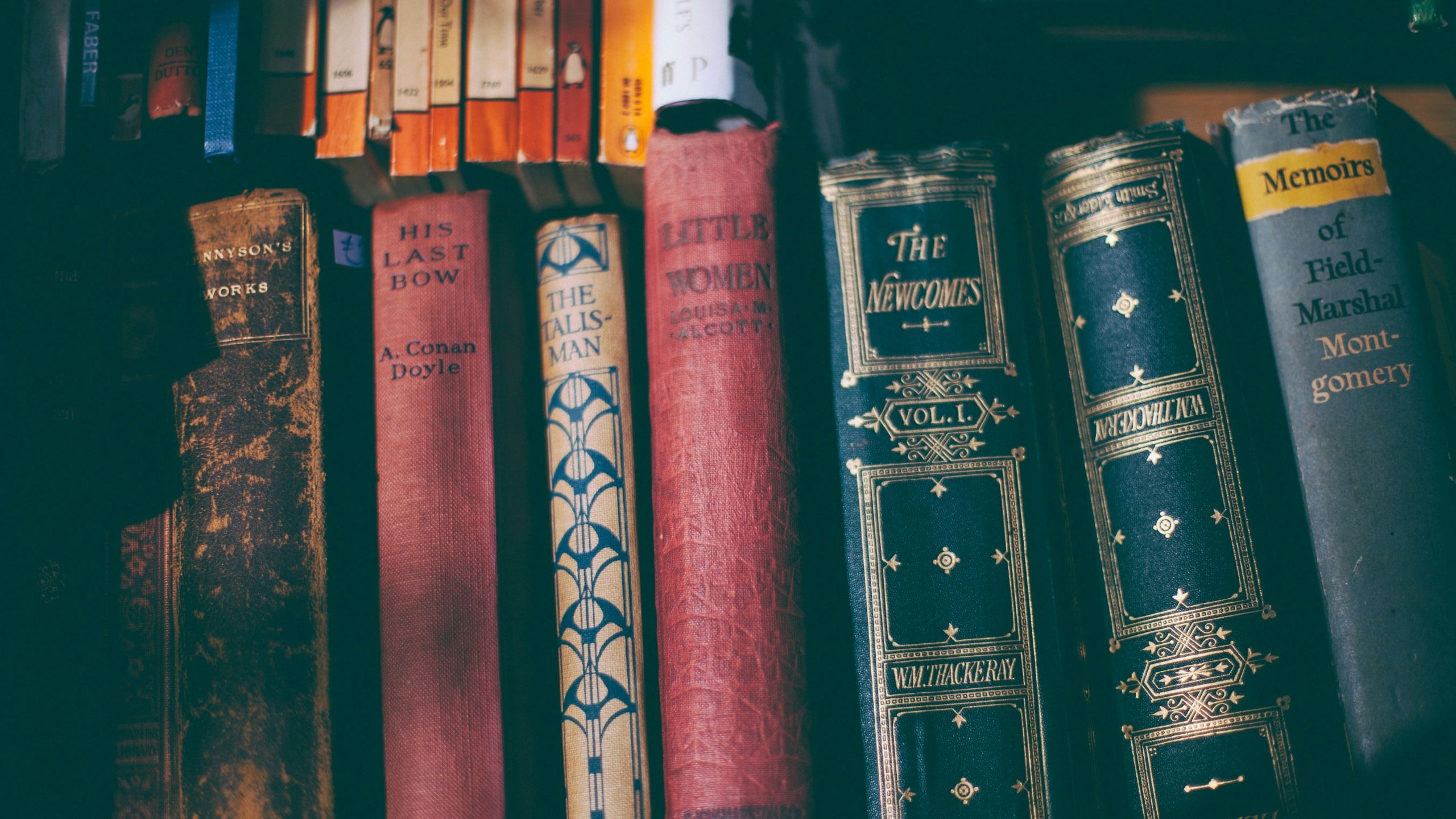 Classic books worn on a shelf. 