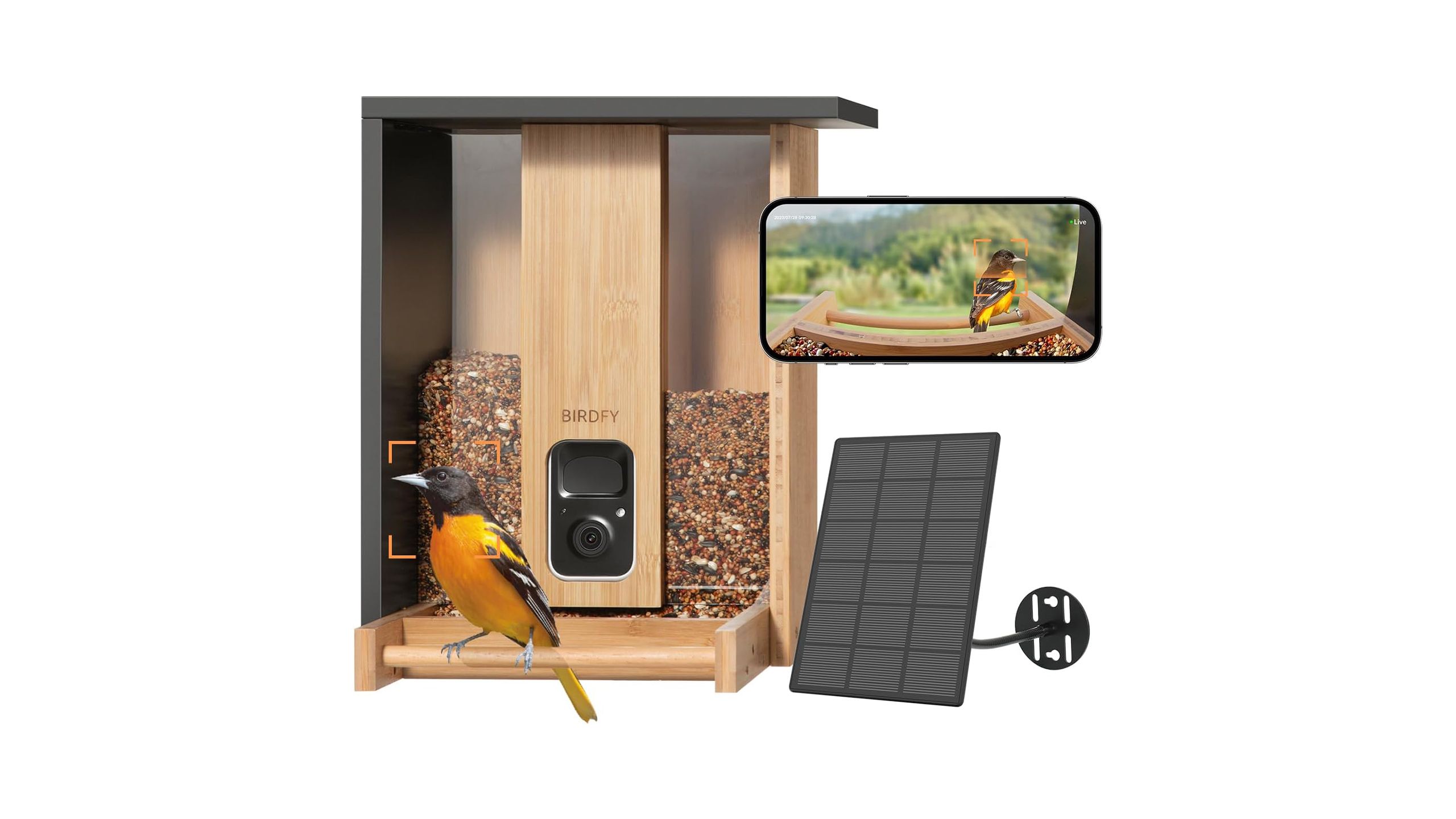 The Netvue Bamboo Bird Feeder Camera