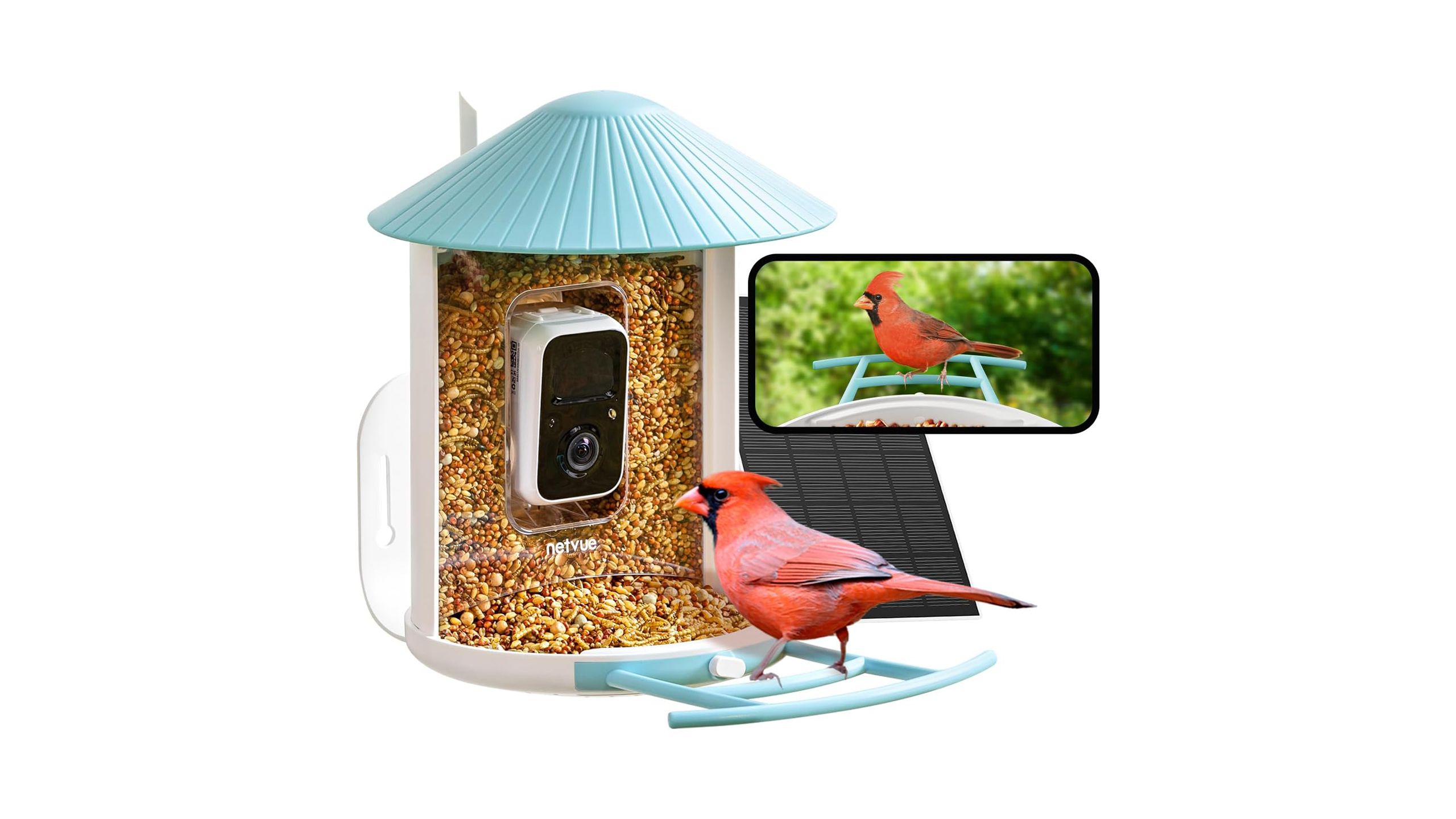 The Netvue Birdfy smart bird feeder and phone against a white background. 