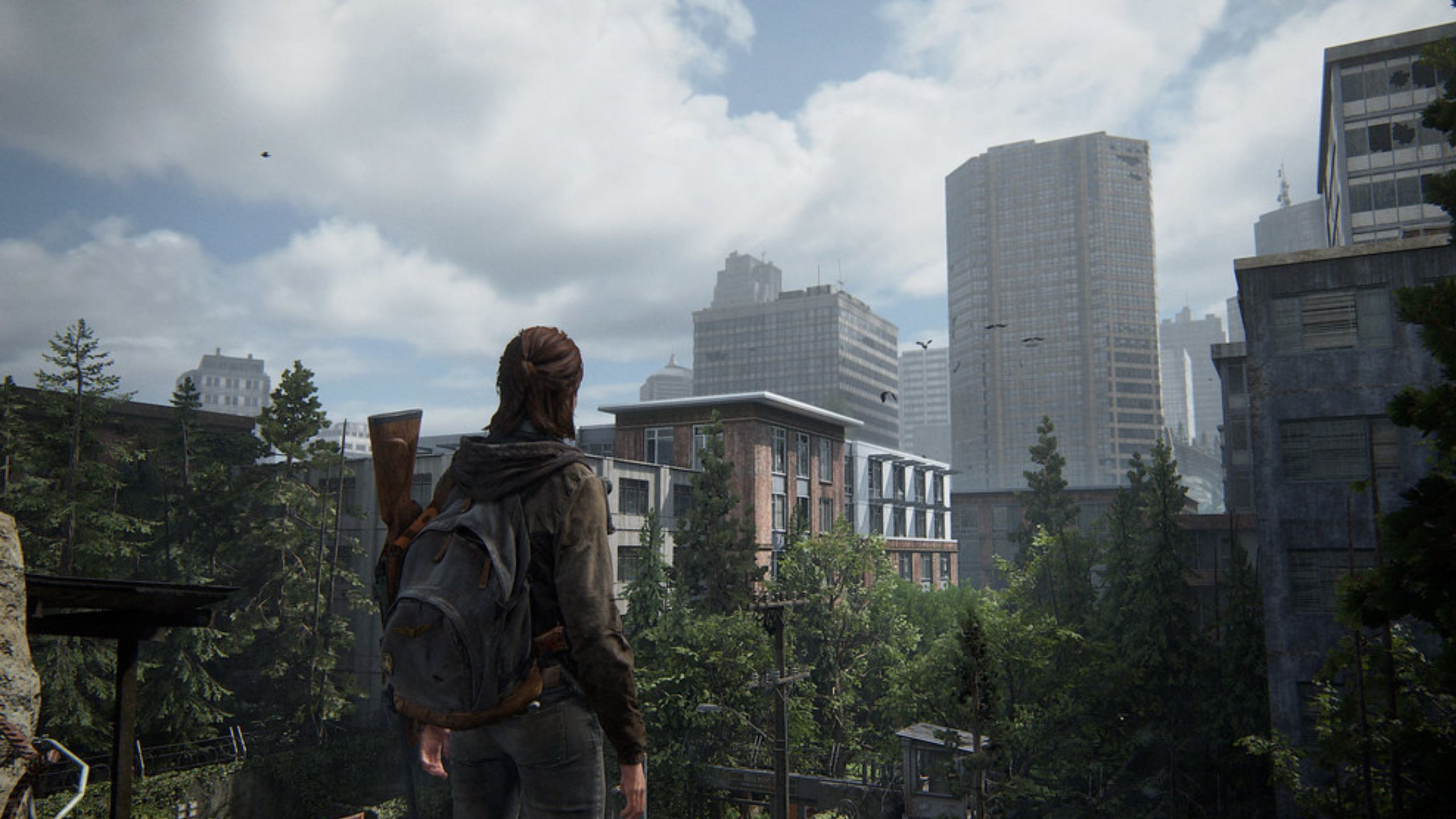 Ellie looking out over a city.