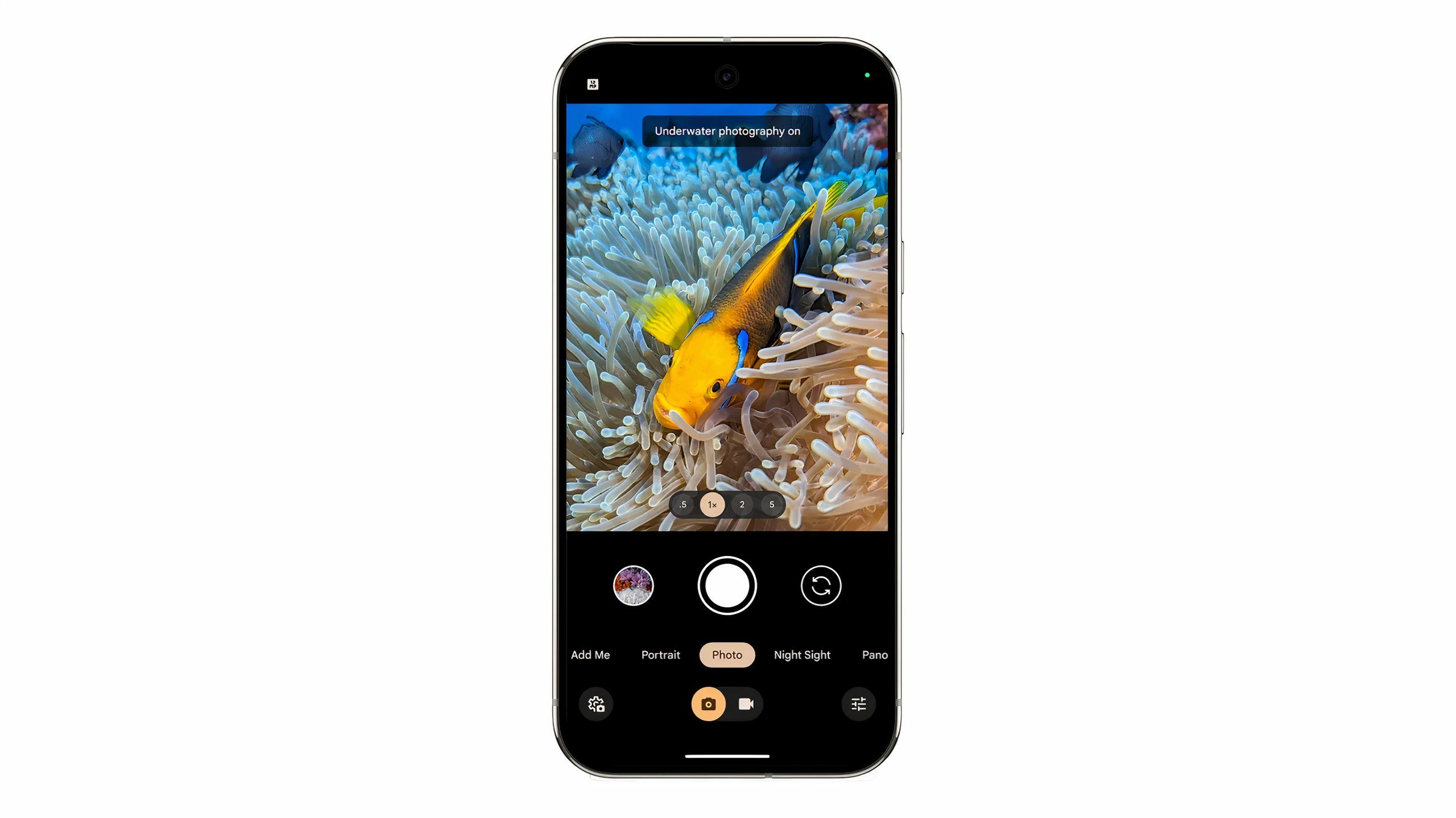 A Pixel device photography a fish using the new Underwater Photography mode.