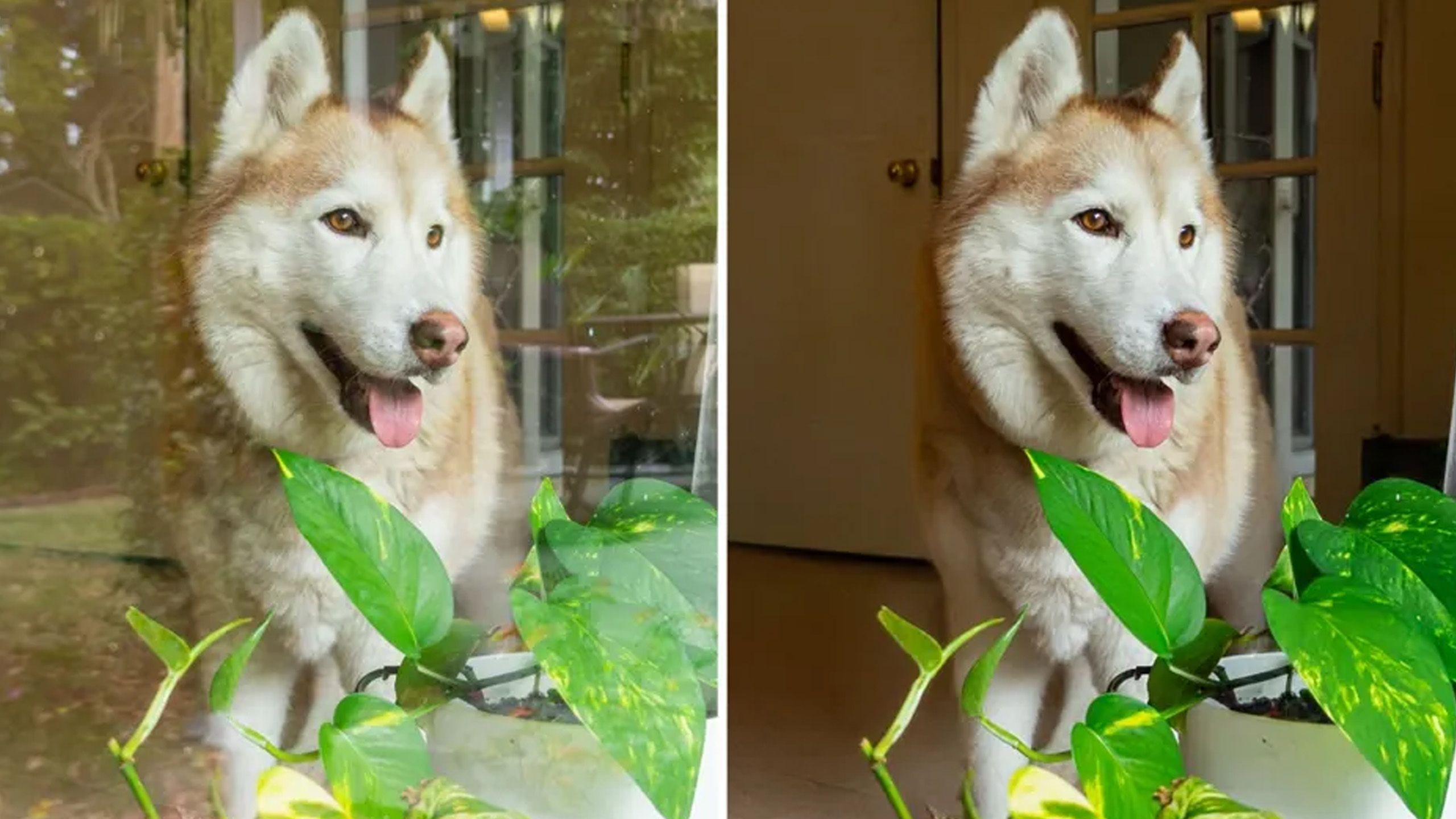 Adobe’s new AI tool can save photos with distracting window reflections