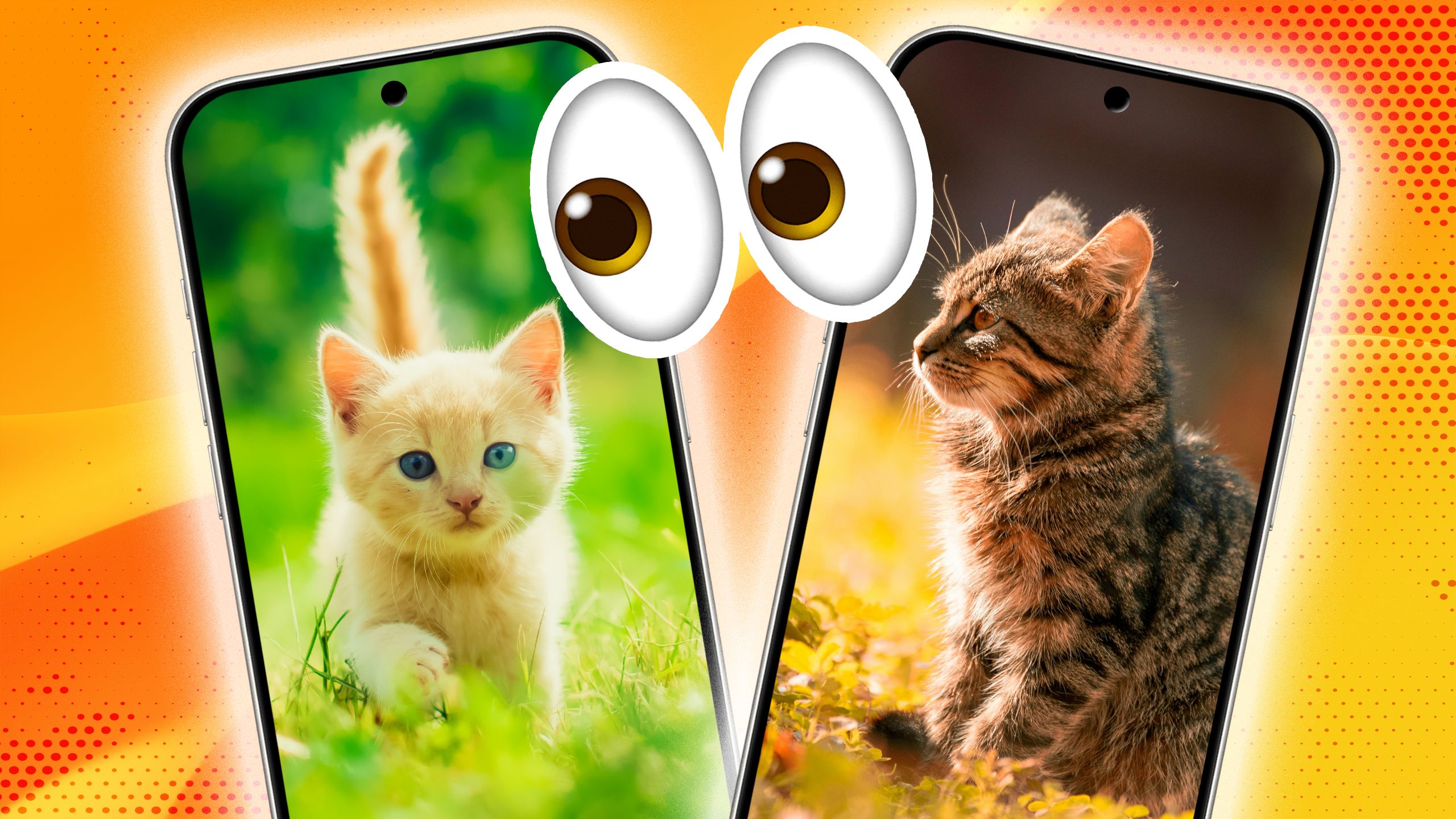 Cats on smartphones.