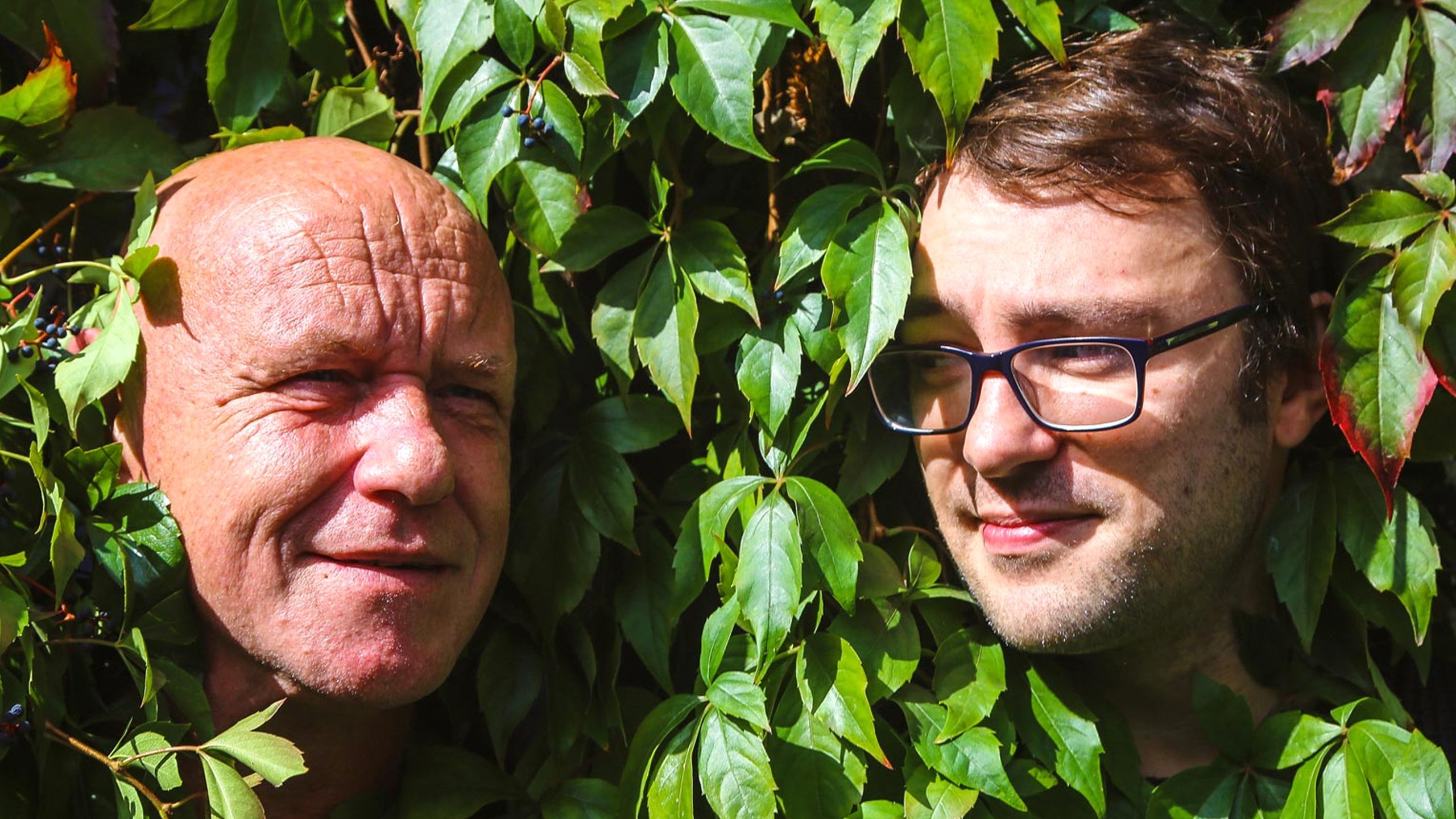 The members of The Orb entangled in vines.