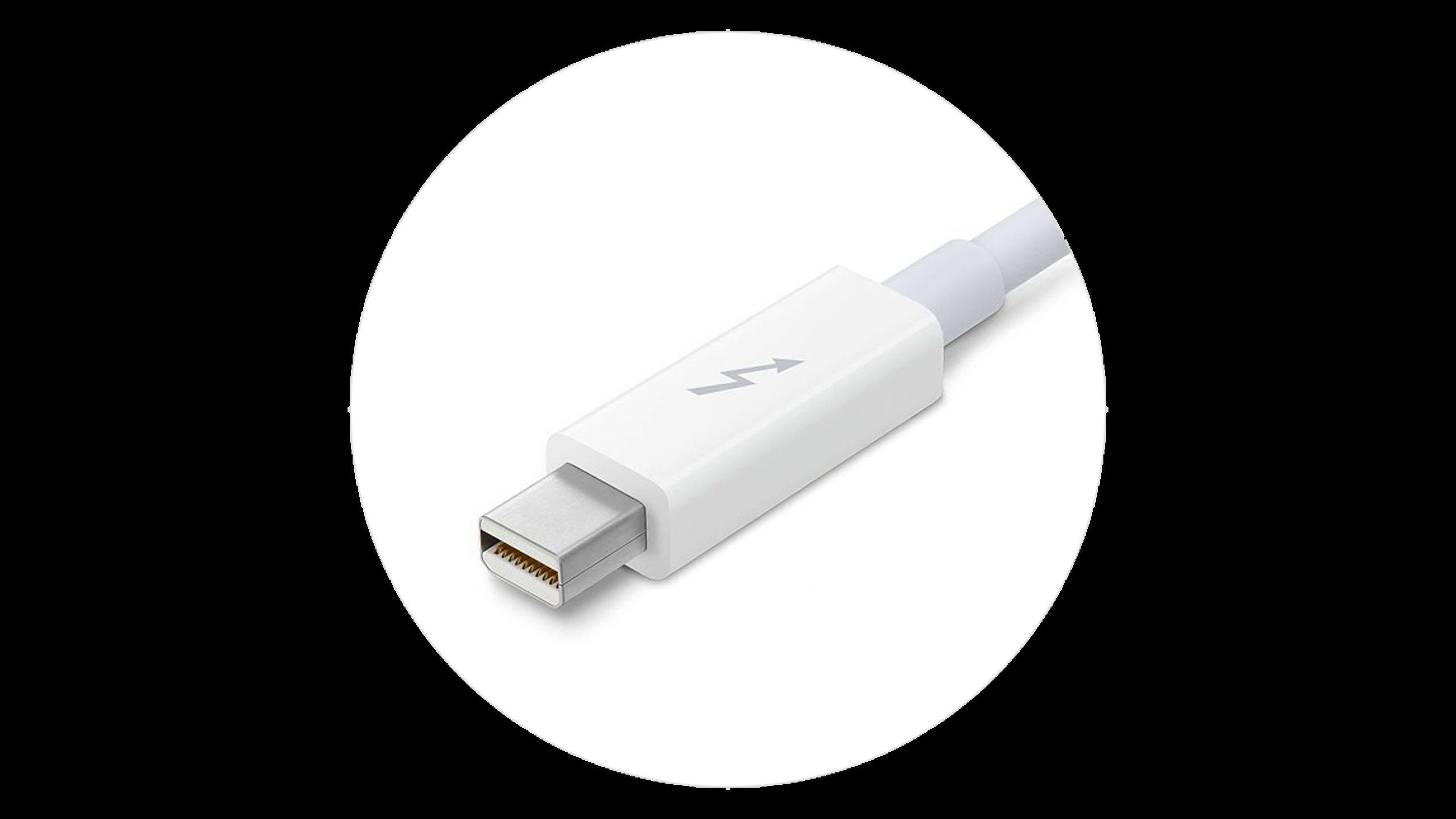 An Apple Thunderbolt 1/2 cable.