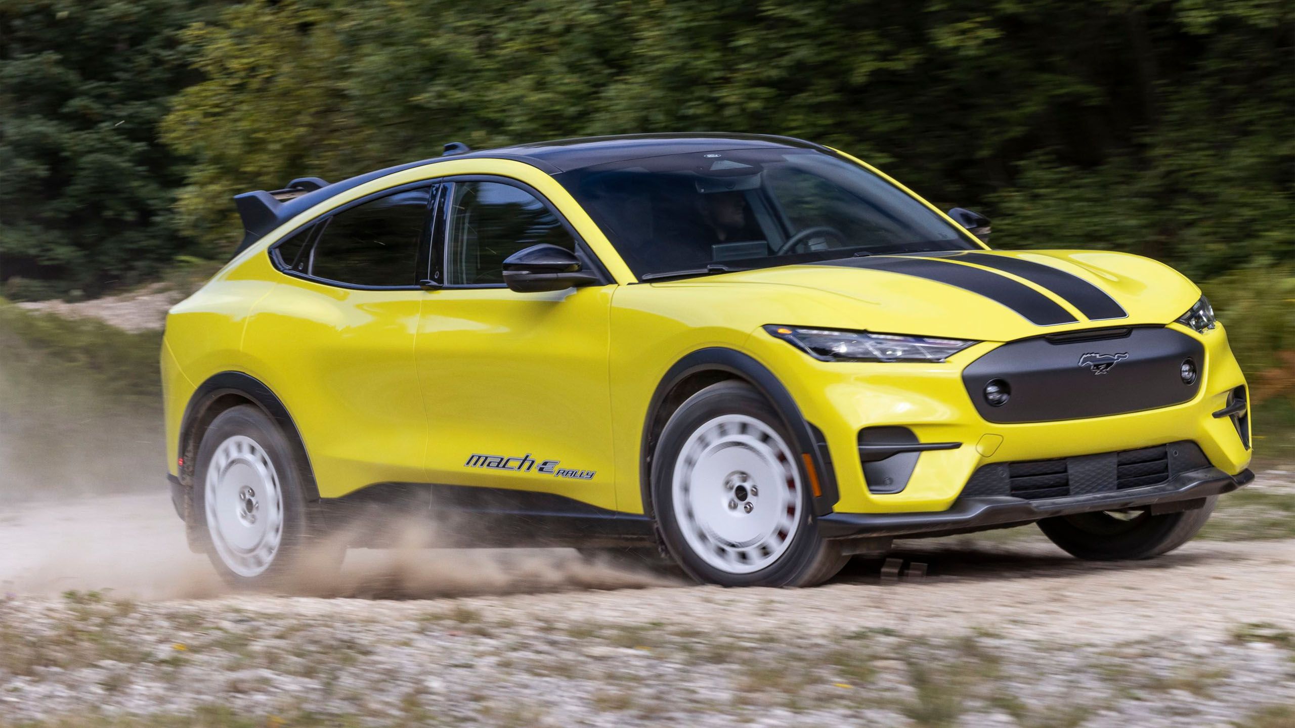 Ford Musang Mach Rally