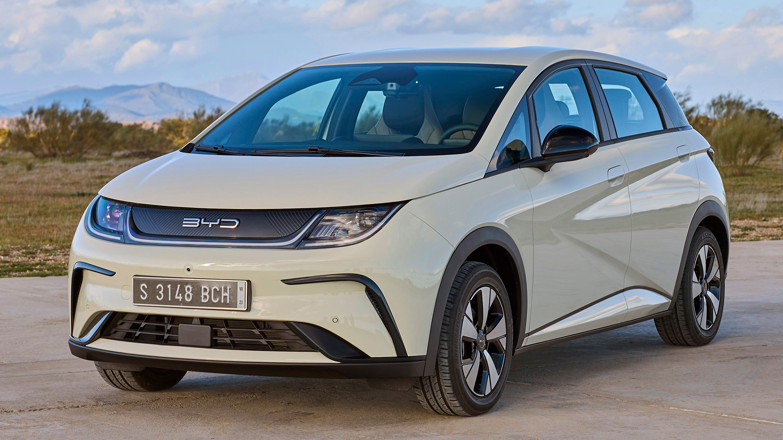 BYD Dolphin Surf