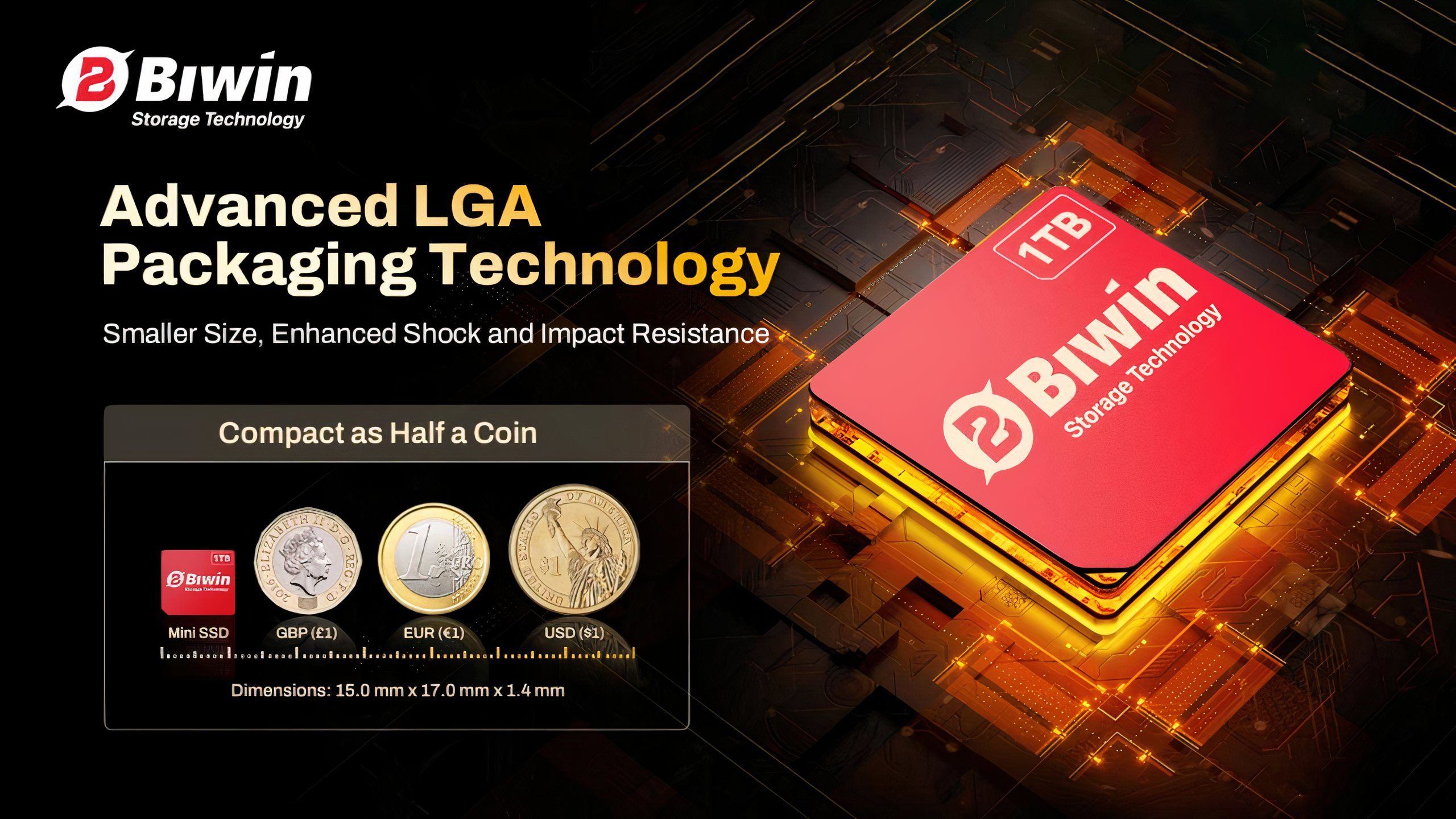 Biwin Mini SSD format