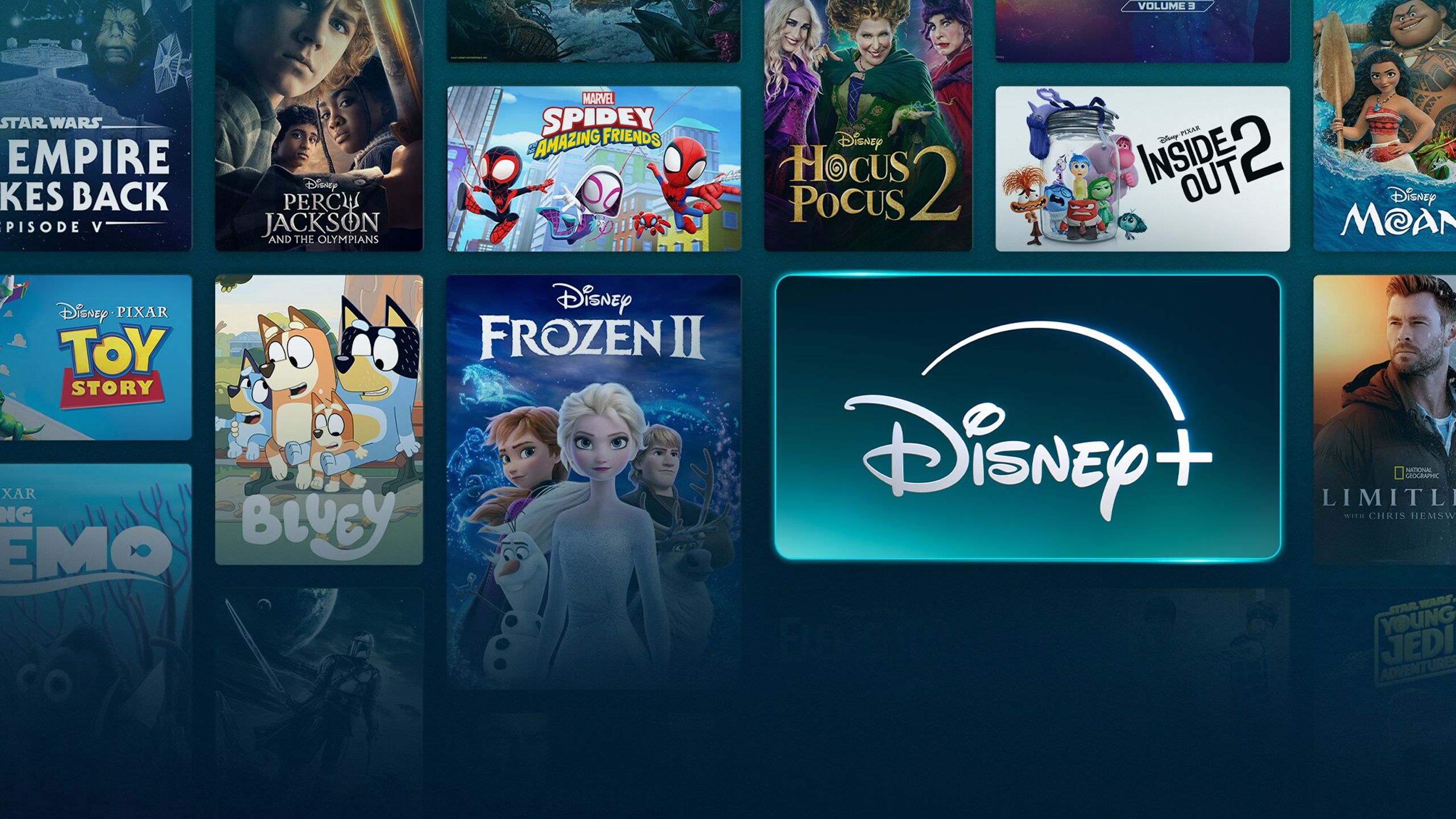 Disney+ banner.