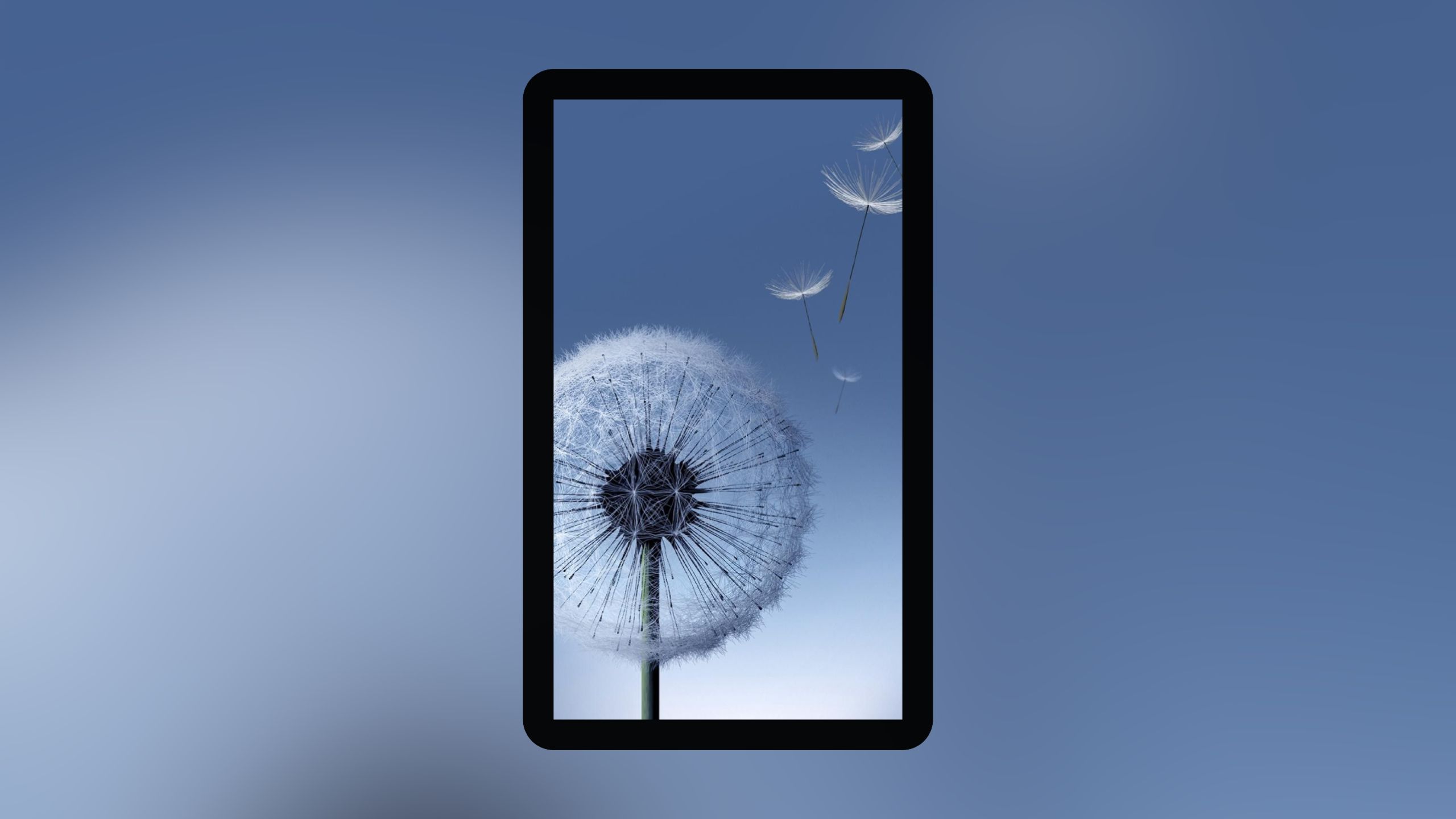Samsung Dandelion wallpaper