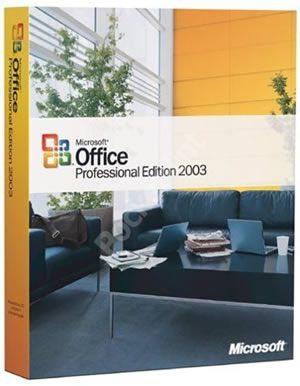 microsoft office professional 2003 image 1