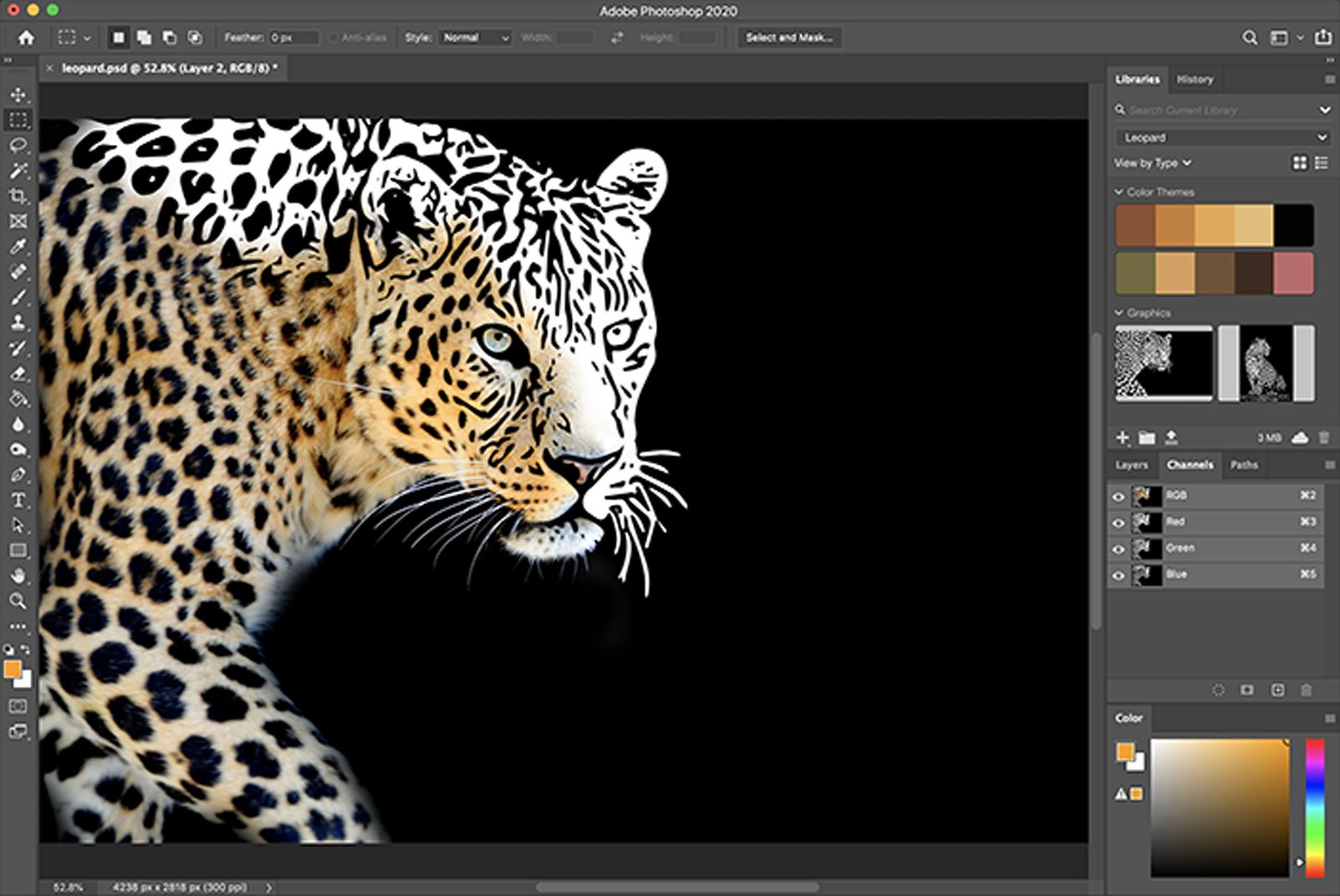 Adobe adds a slew of new features to Creative Cloud image 1