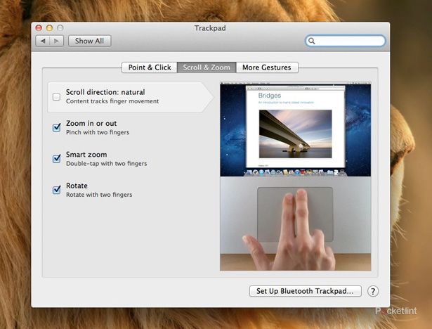 how to turn off natural scrolling in mac os x lion  image 1