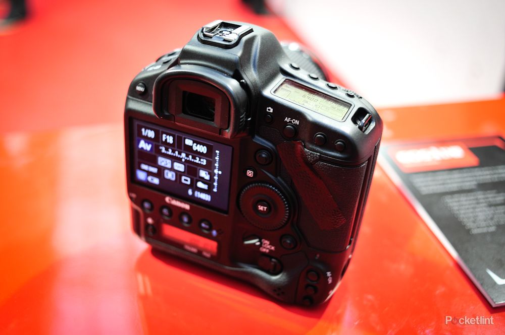canon eos 1d x pictures and hands on image 4