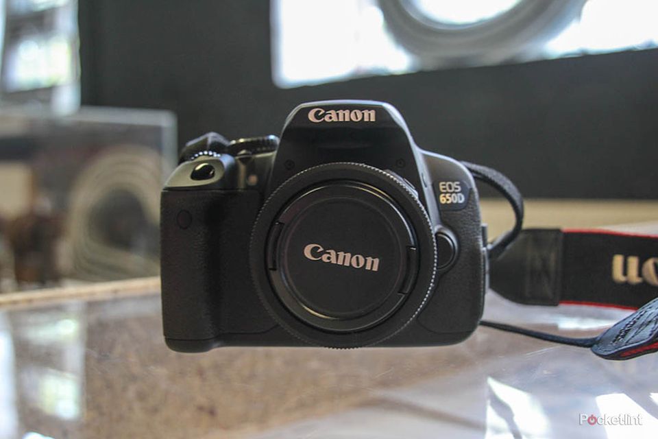 canon eos 650d the first sample images image 1