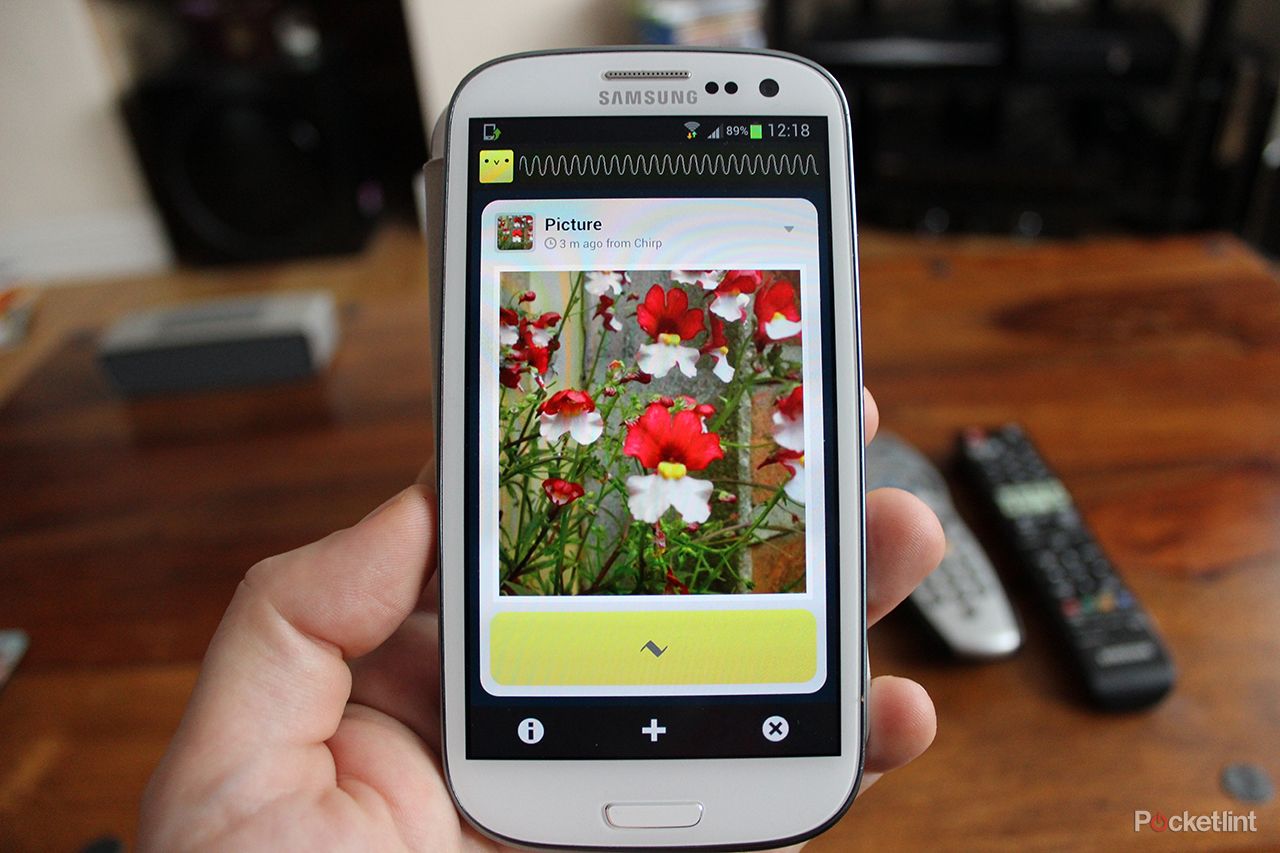 chirp makes sharing photos links and notes easy using digital birdsong image 1