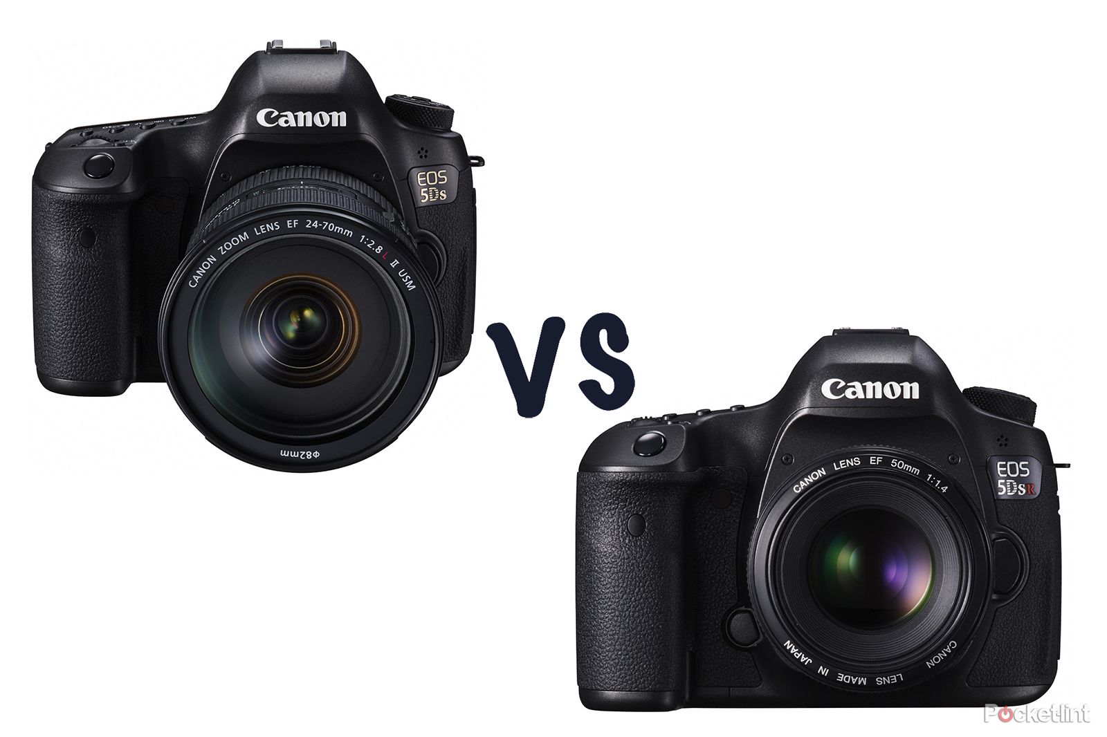 canon eos 5ds vs 5ds r what s the difference 50 megapixel dslr camera specs explored image 1