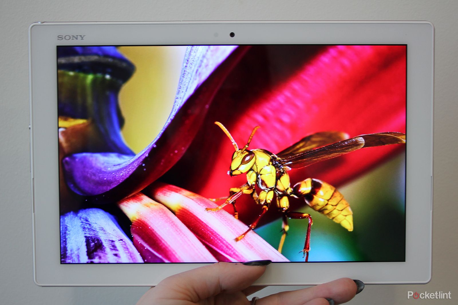 sony xperia z4 tablet hands on slimmer lighter and sexier image 1
