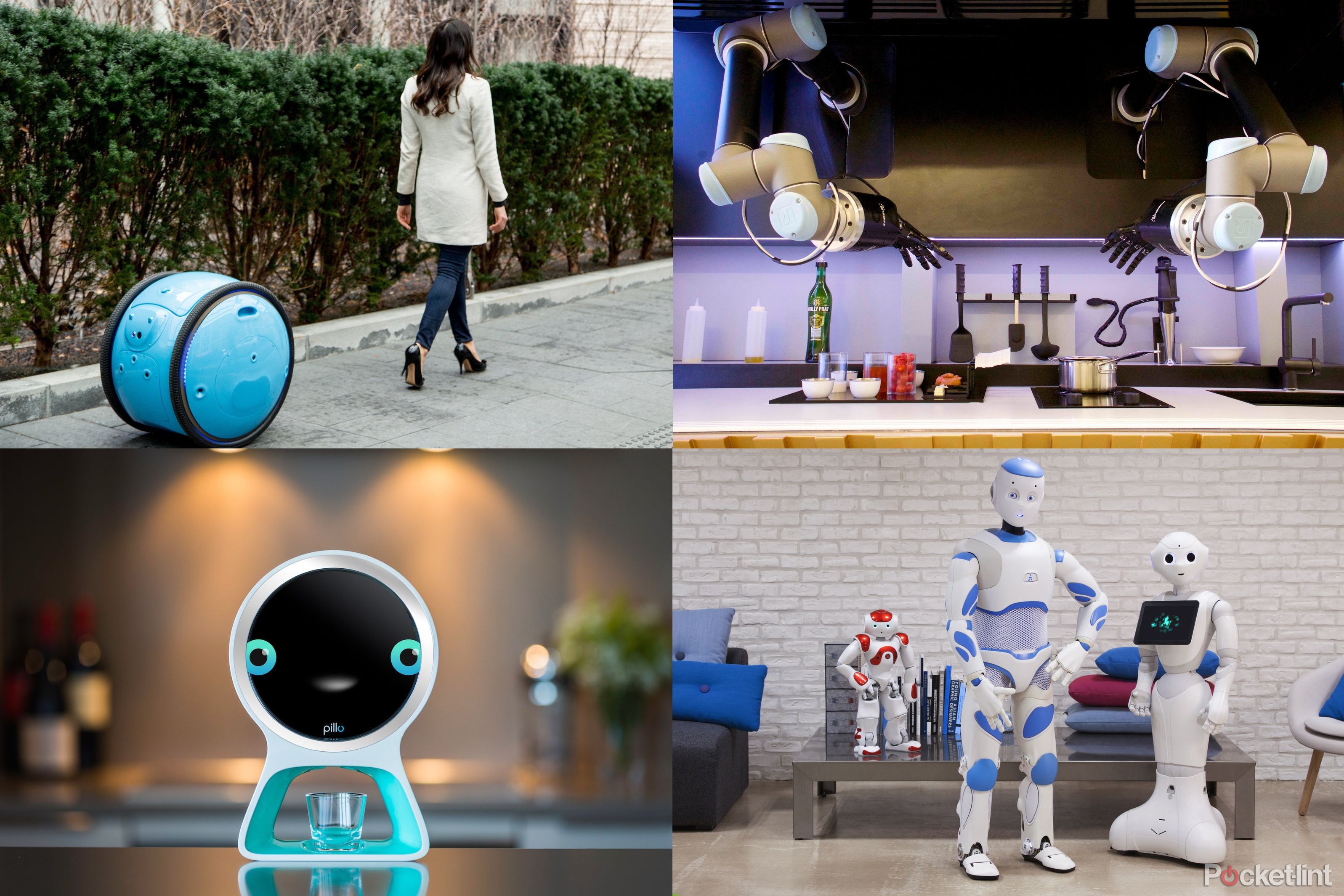 Real-life robots that will make you think the future is now