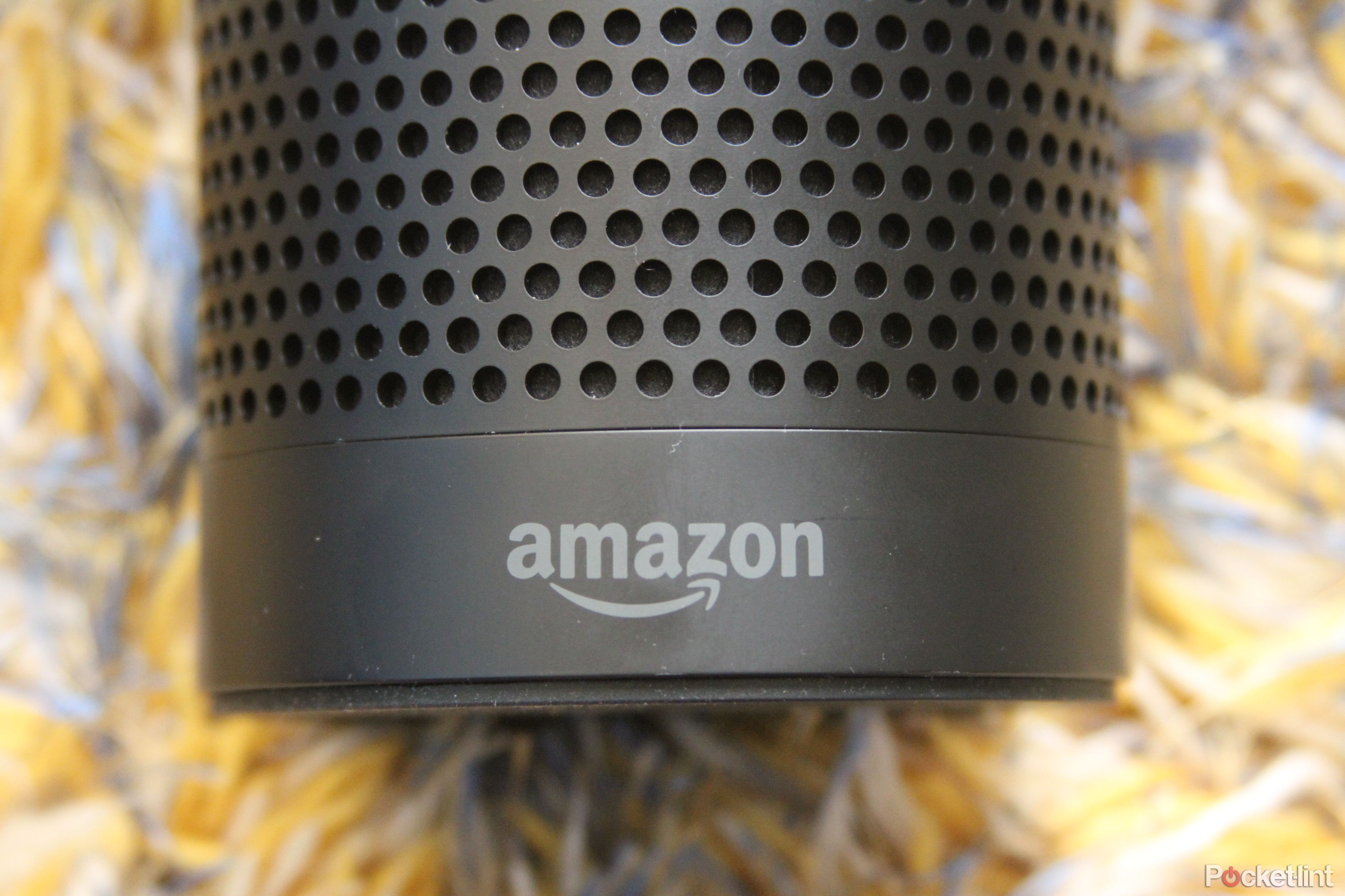 Amazon might launch a paid musicstreaming service that works with Echo