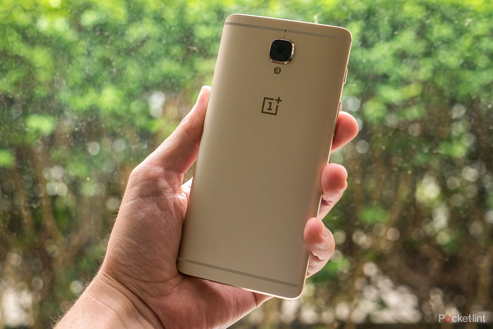 oneplus 3 soft gold in pictures if bling is your thing image 1