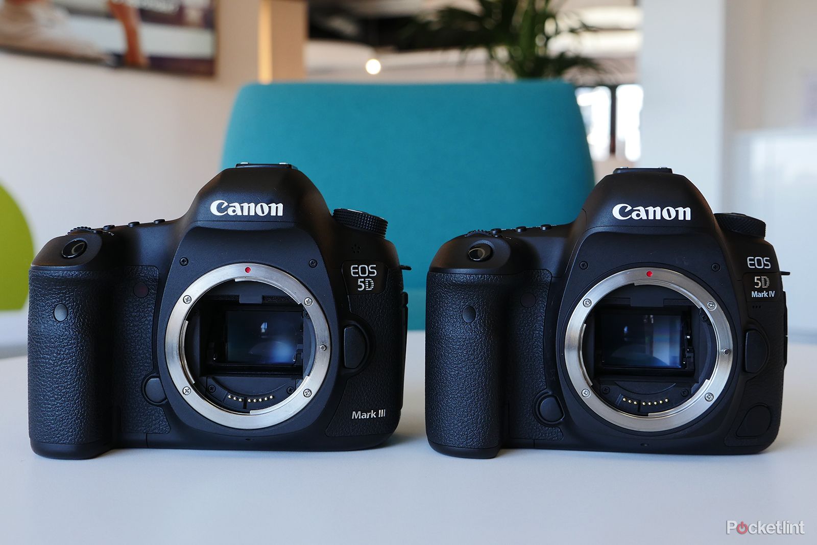 canon eos 5d mark iv review image 15