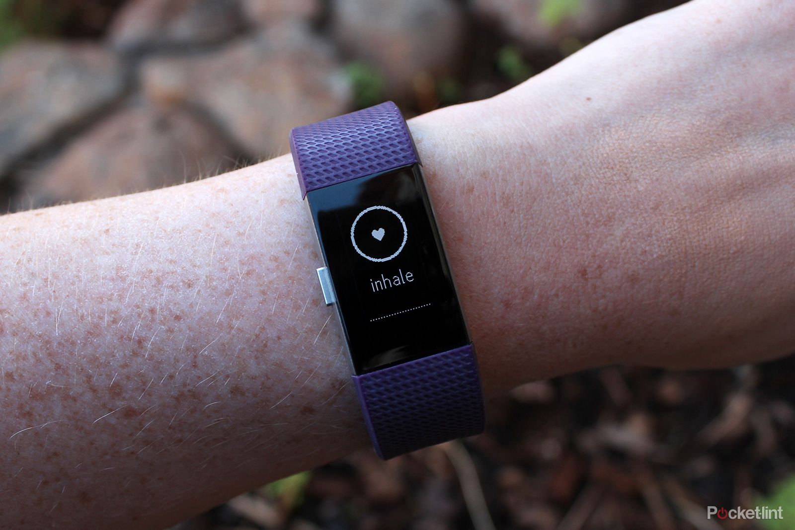 fitbit charge 2 review image 18