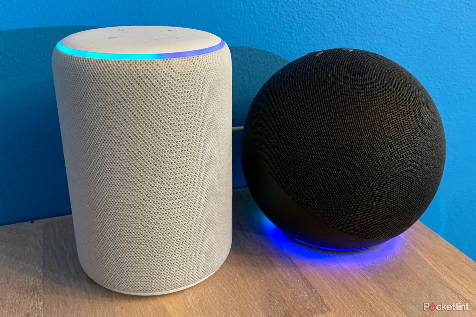 bronce Restaurar Mira What is Alexa and what can Amazon Echo do?