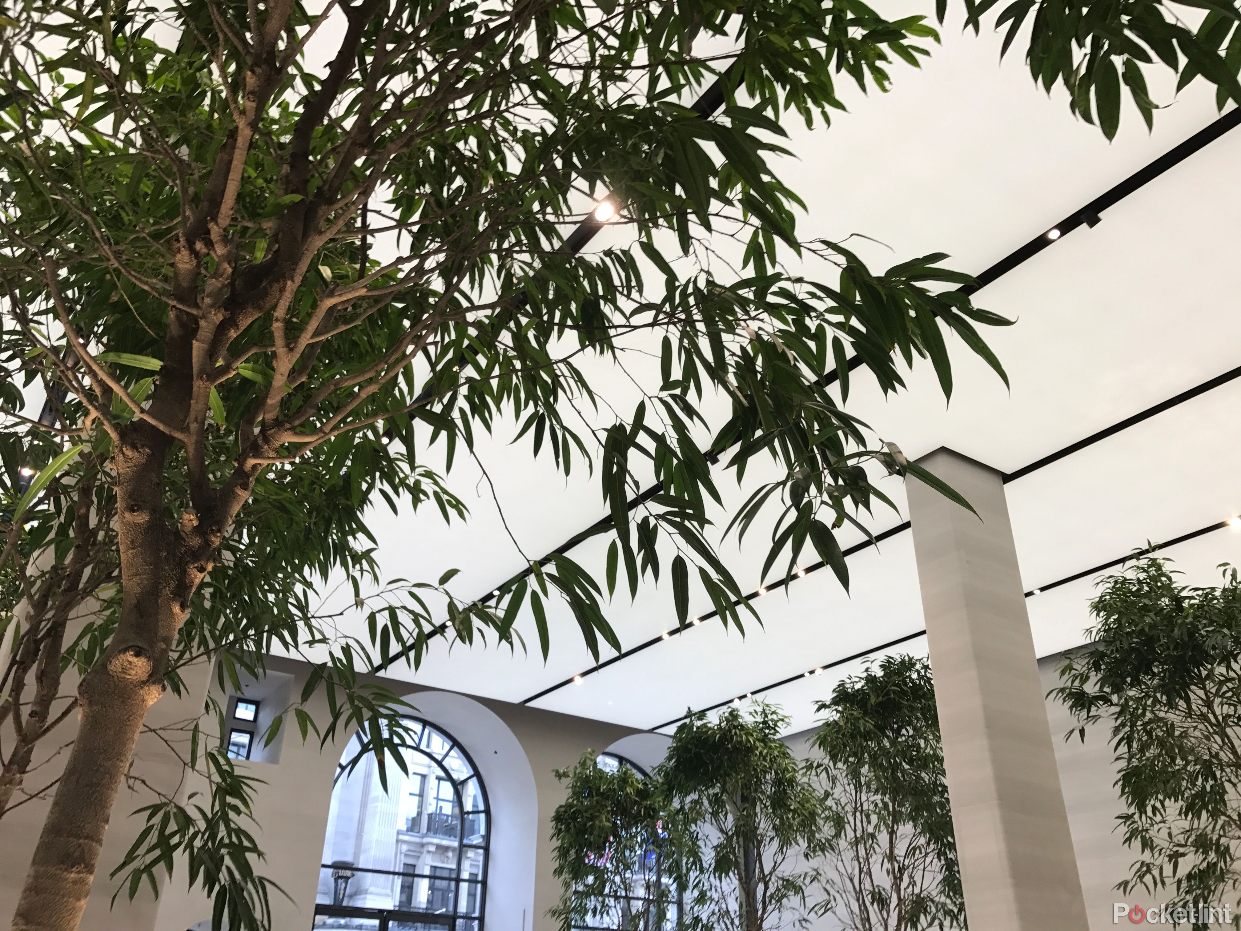 An Amazing Look Inside The New Apple Regent Street Store: Trees, Marble 