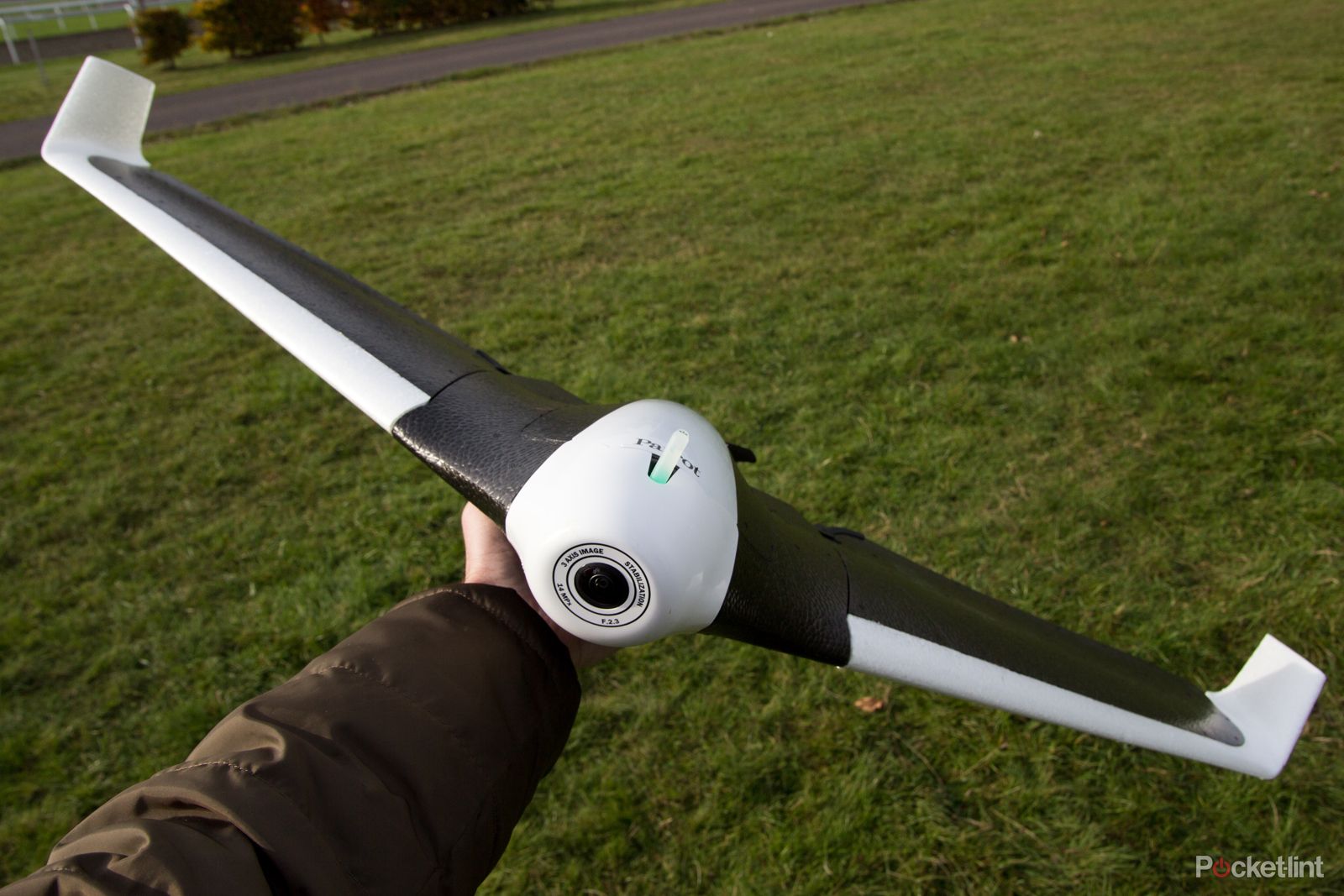 parrot disco preview image 10
