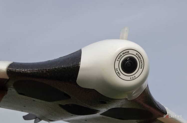 parrot disco preview image 11