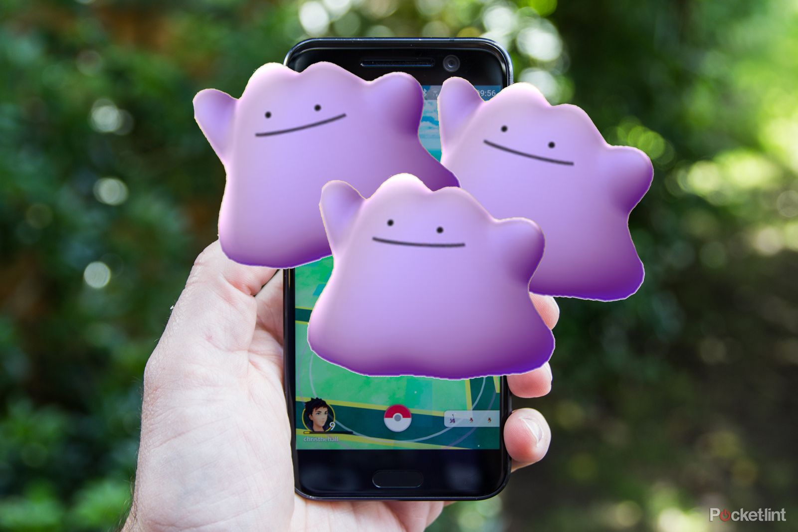 how to catch ditto in pokemon go image 1