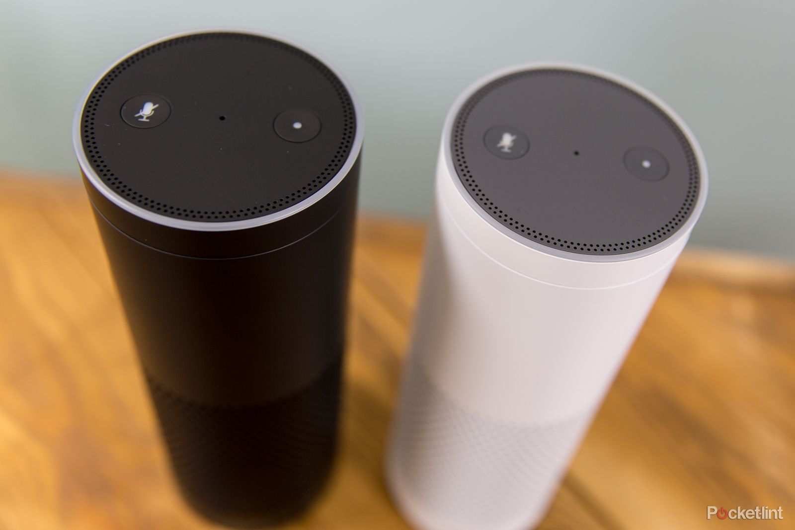 amazon echo gets cool new features check out what alexa can do now image 1