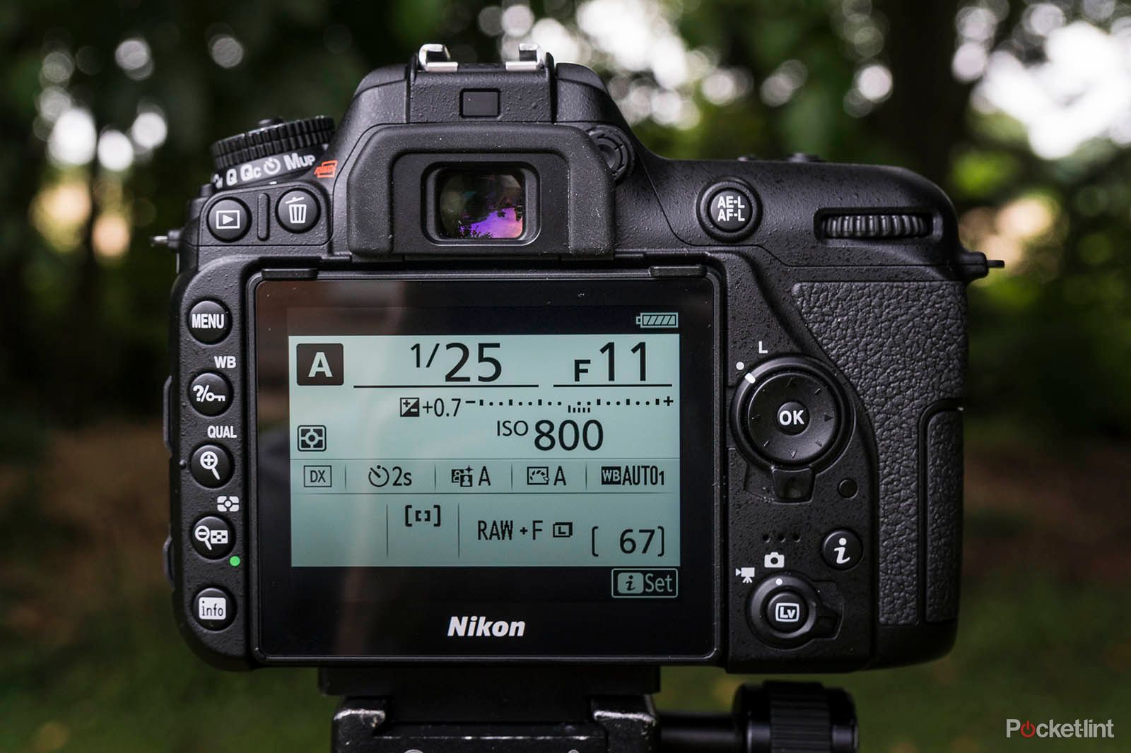 Nikon D7500 image 4