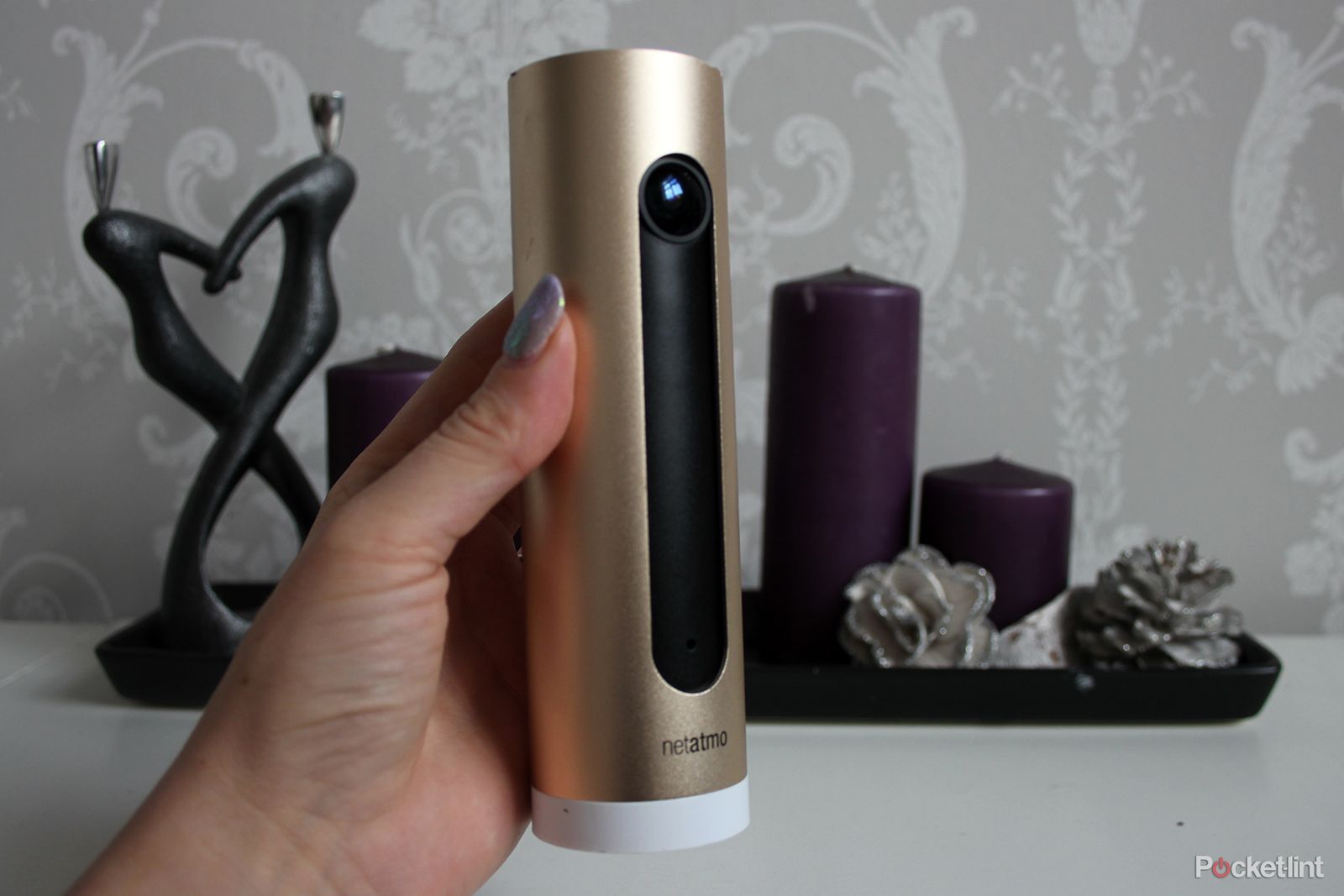Netatmo Welcome pet detection update lets you follow Fido around the home image 1
