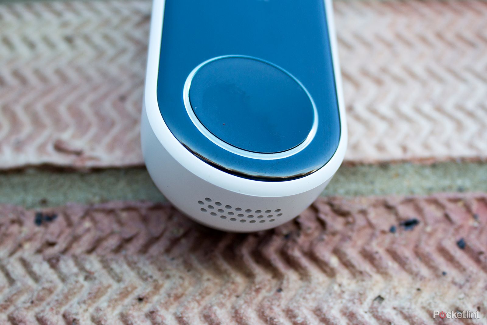 Nest 2024 hello speaker