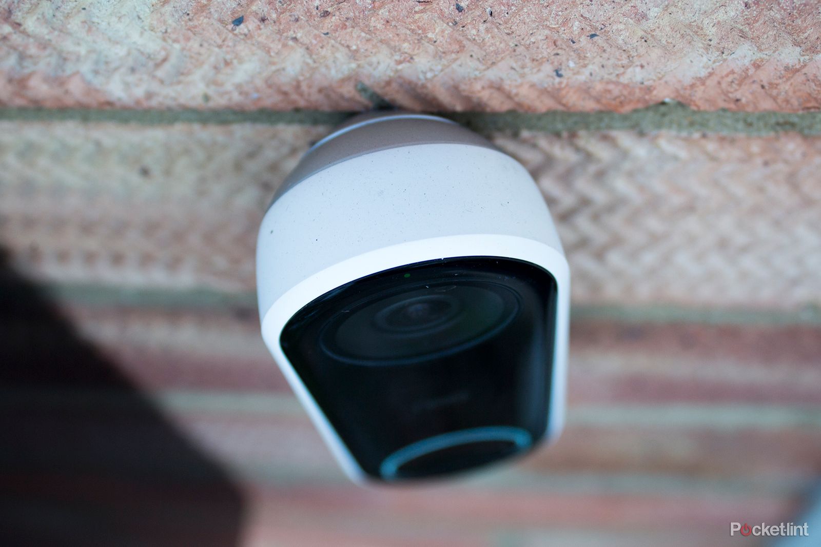 Nest sales hello tilt