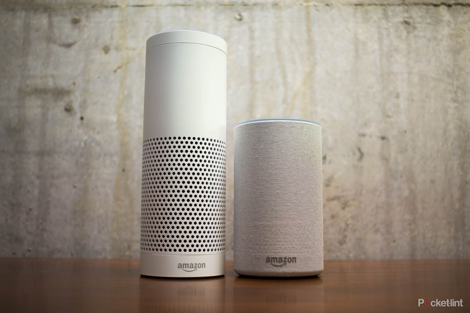 Police called to break up Amazon Alexa’s very own self-controlled party image 1