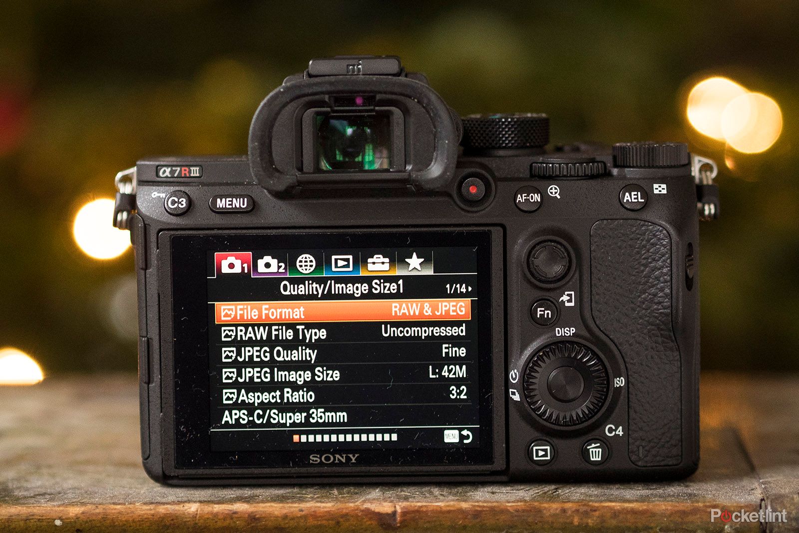 Sony A7R III review image 8